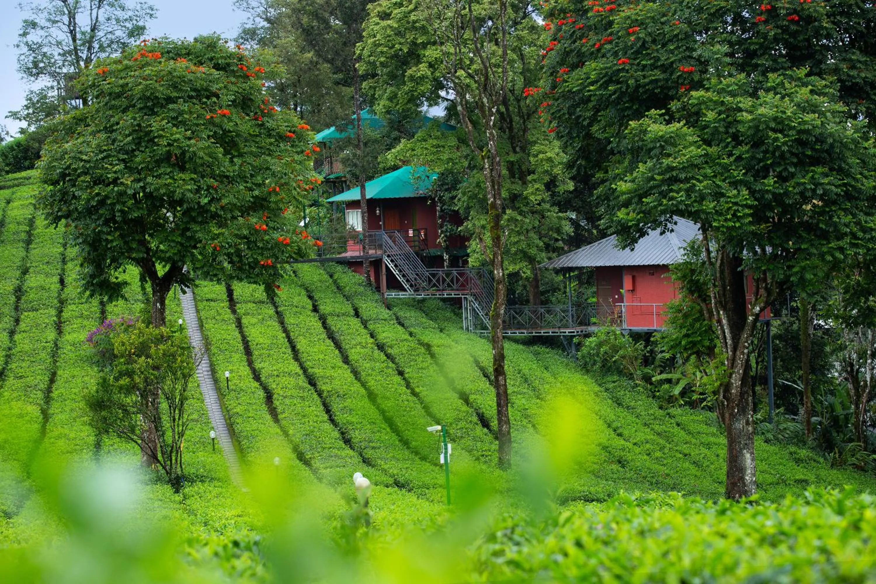 Dream Catcher Plantation Resort