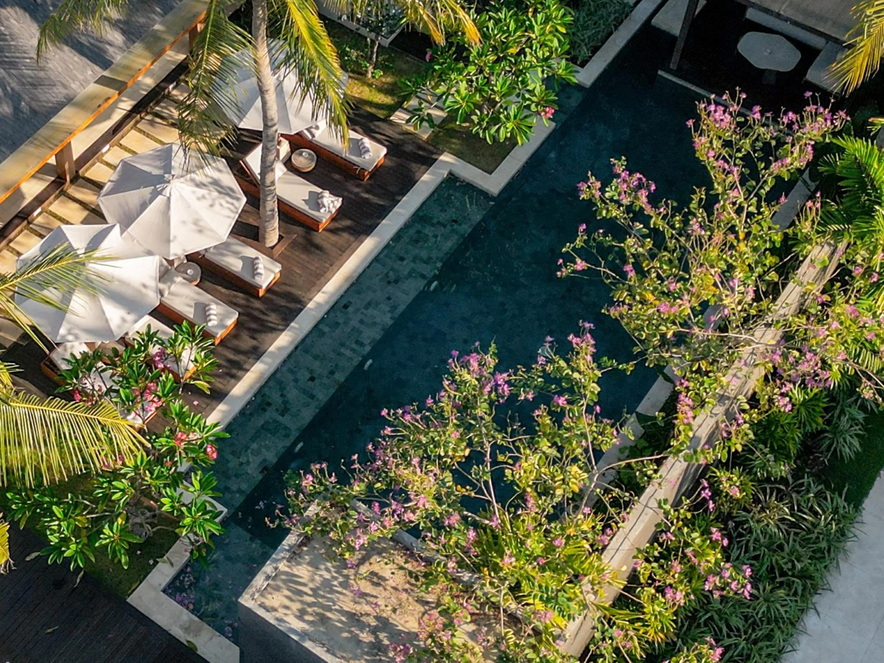 Swimming pool in Cocana Resort Gili Trawangan