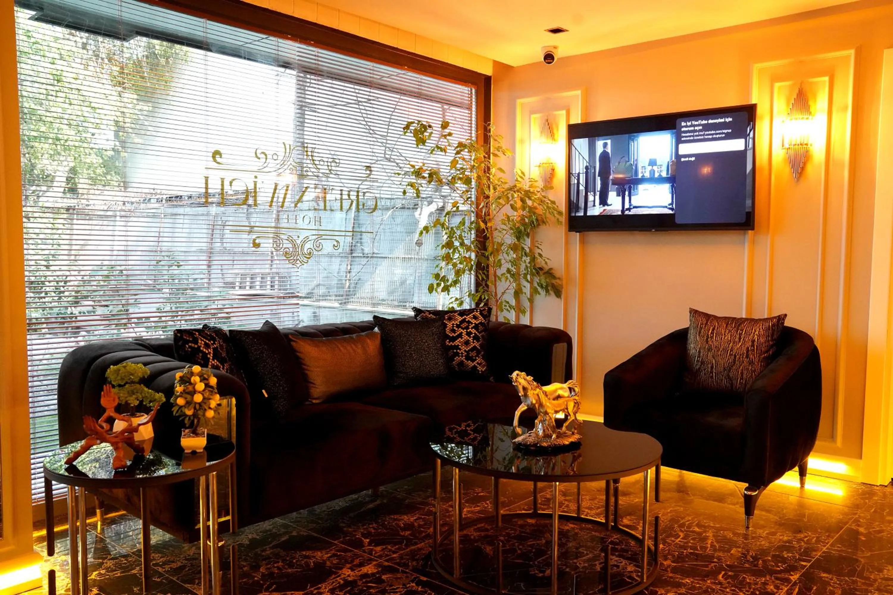 Communal lounge/ TV room in GreenWich Hotel