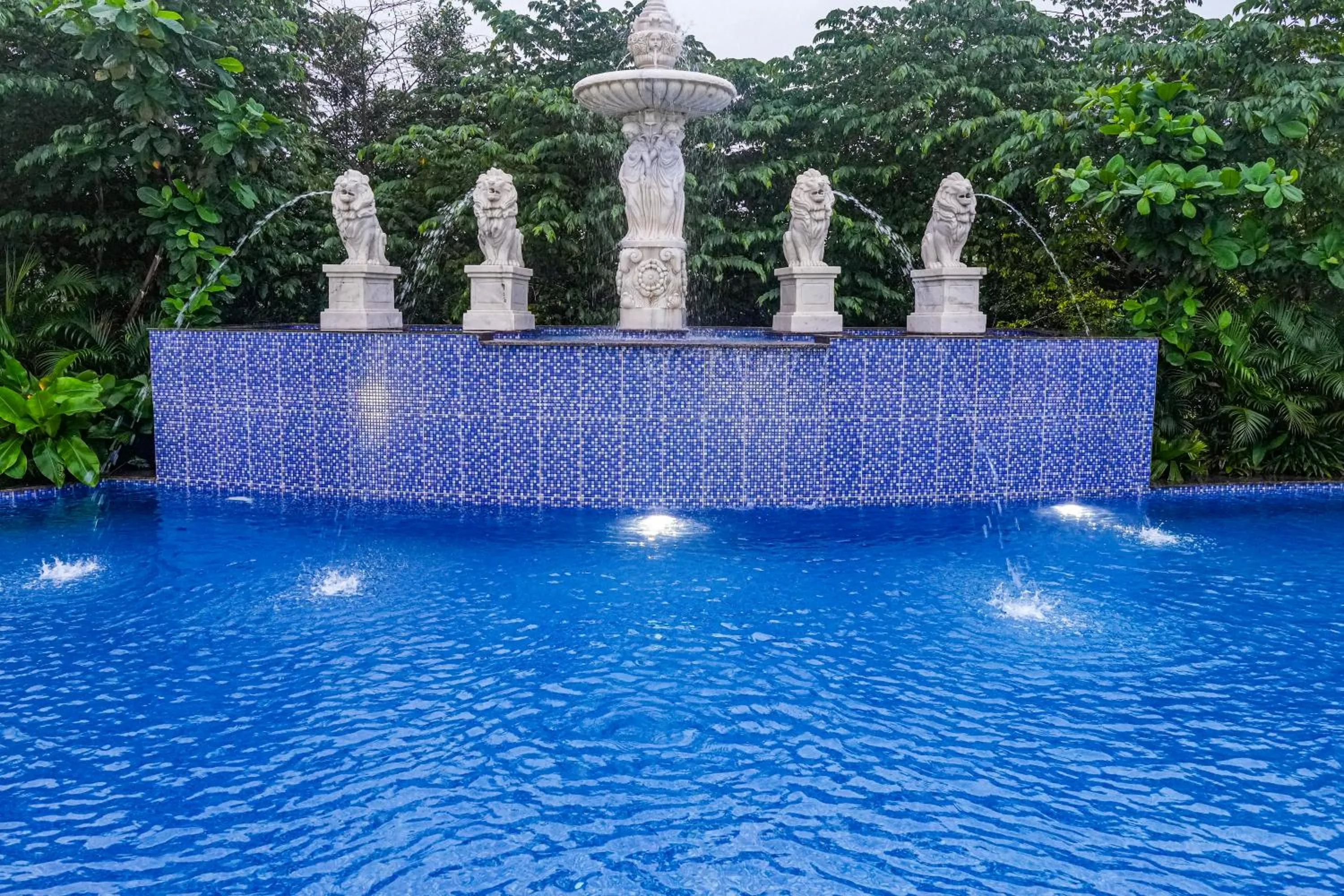 Pool view in Mayfair Oasis Resort & Convention
