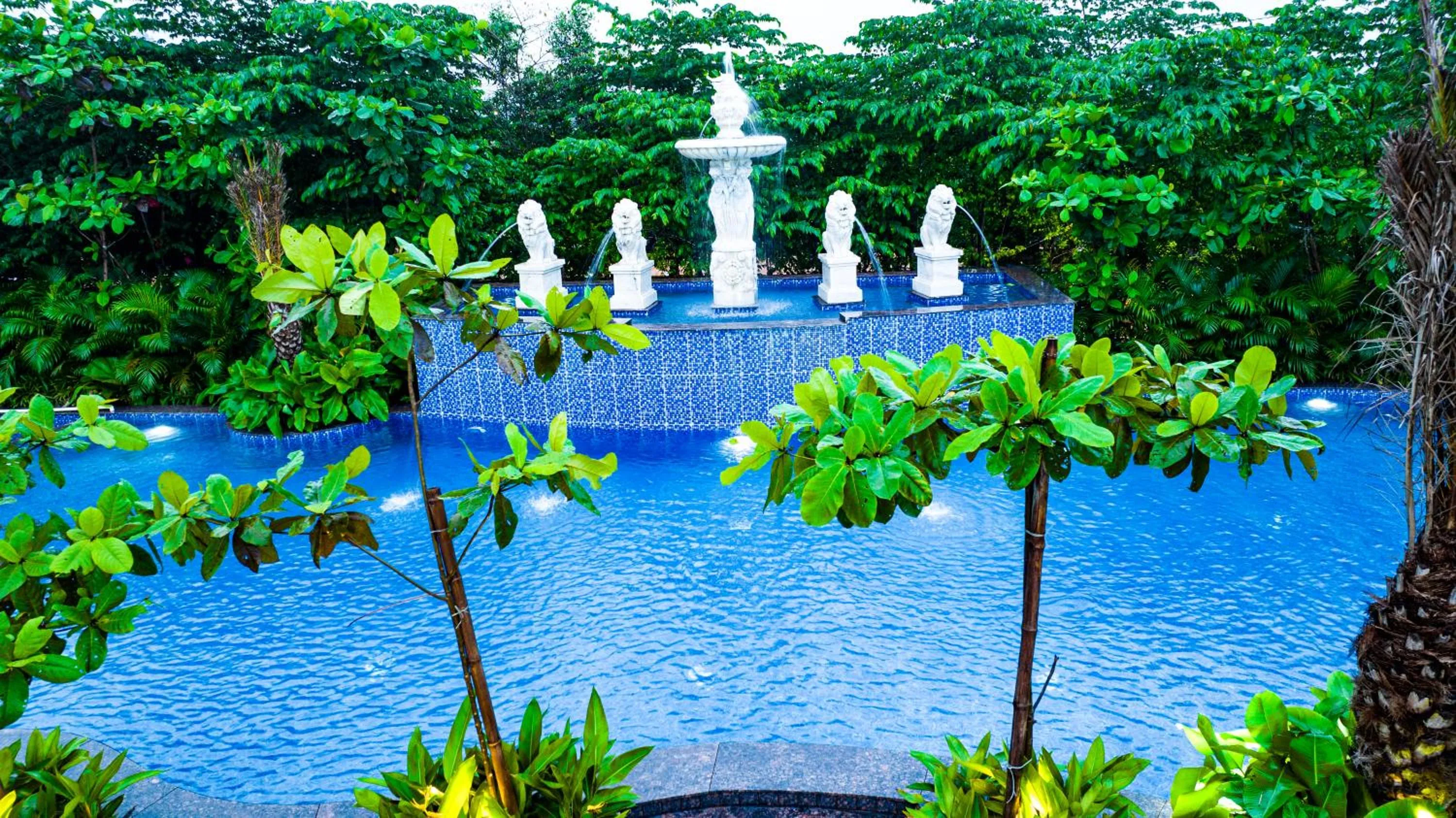 Swimming pool in Mayfair Oasis Resort & Convention