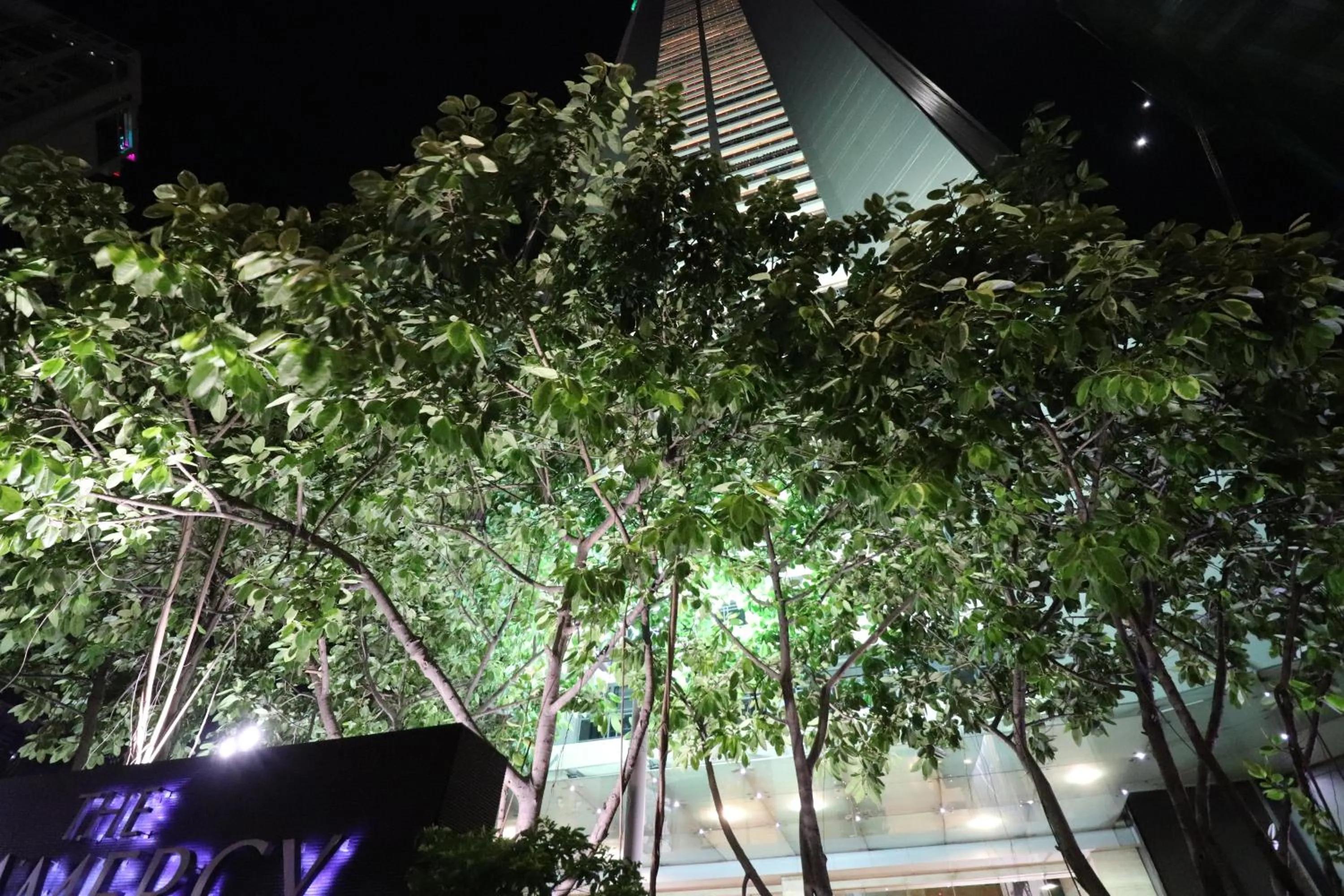 Night in The Gramercy Residences