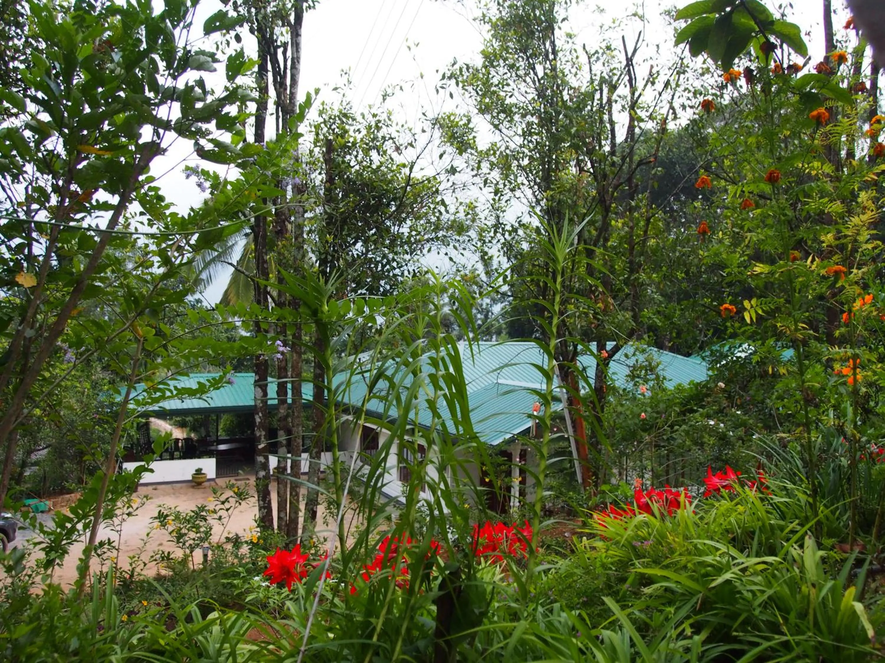 TEARAMB HOLIDAY BUNGALOW