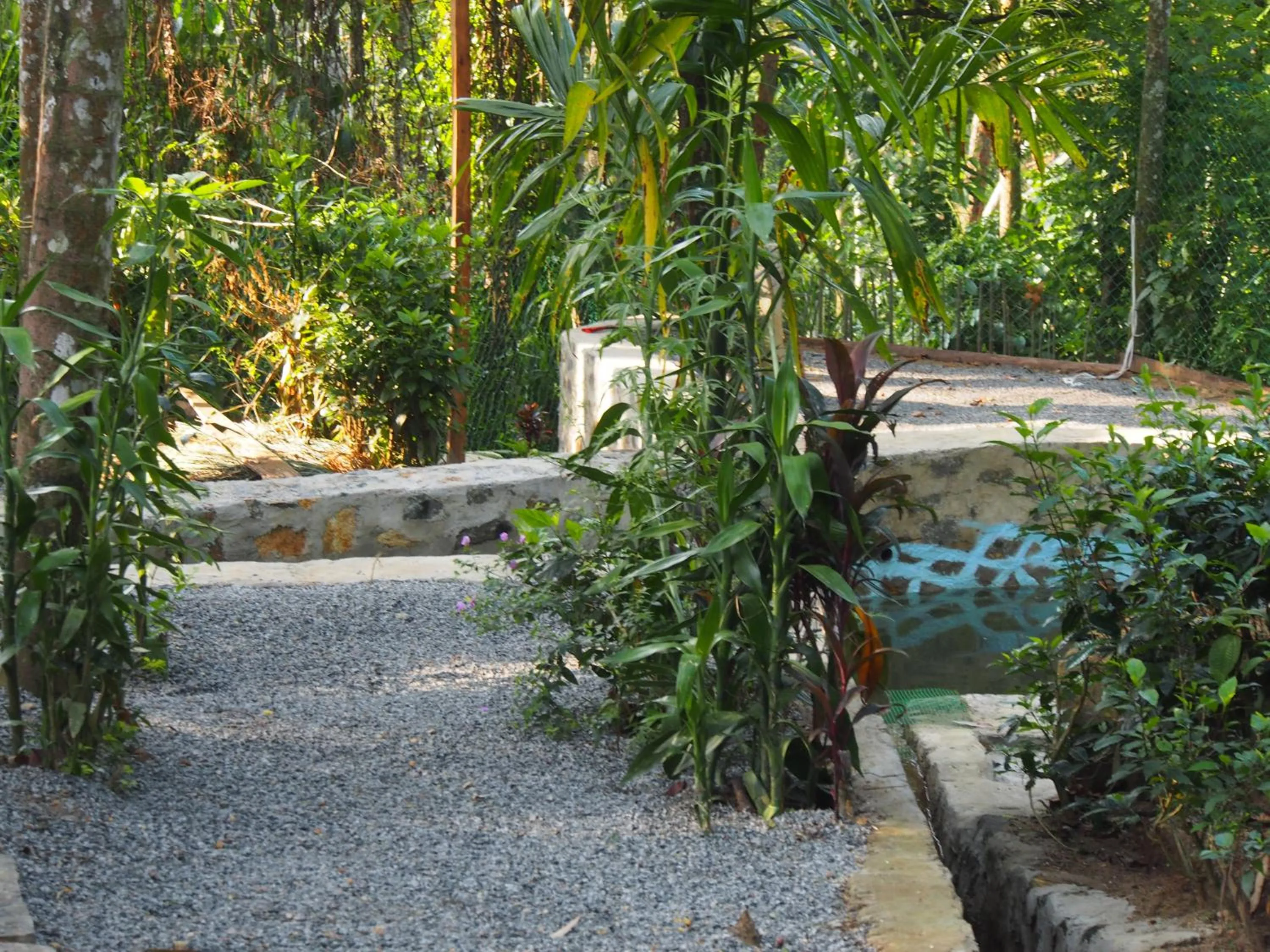 Swimming pool in TEARAMB HOLIDAY BUNGALOW