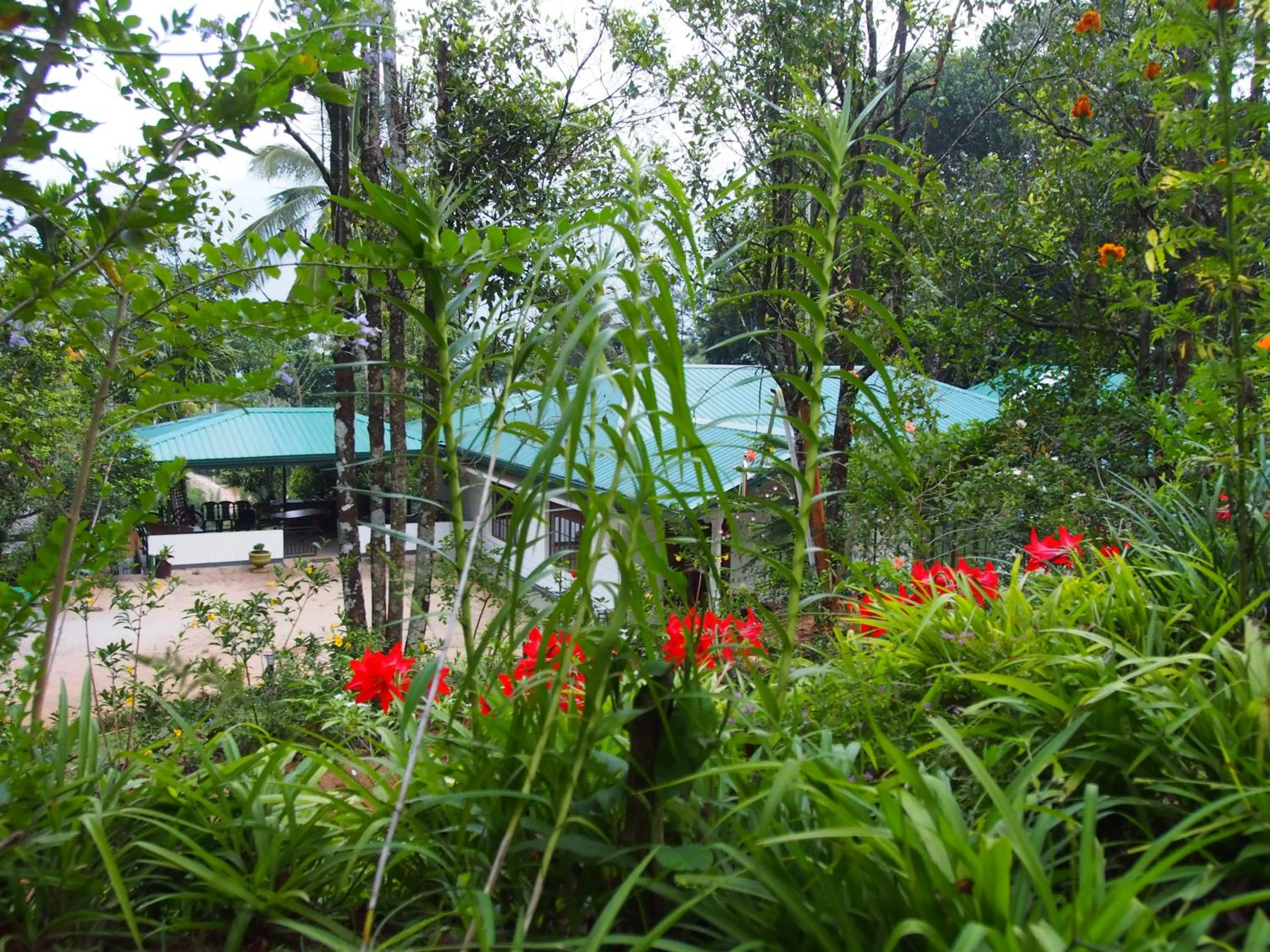 Garden in TEARAMB HOLIDAY BUNGALOW