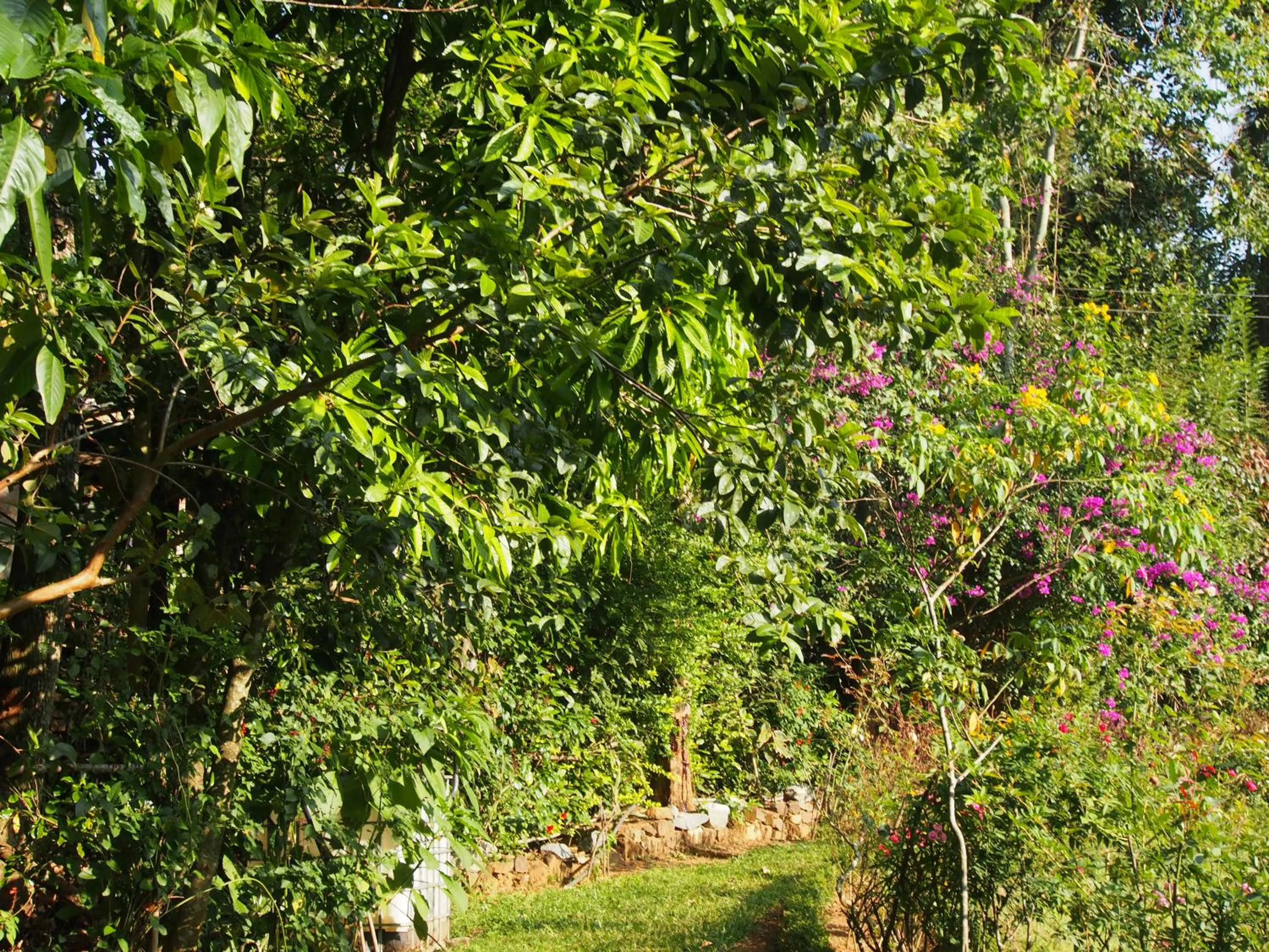 TEARAMB HOLIDAY BUNGALOW