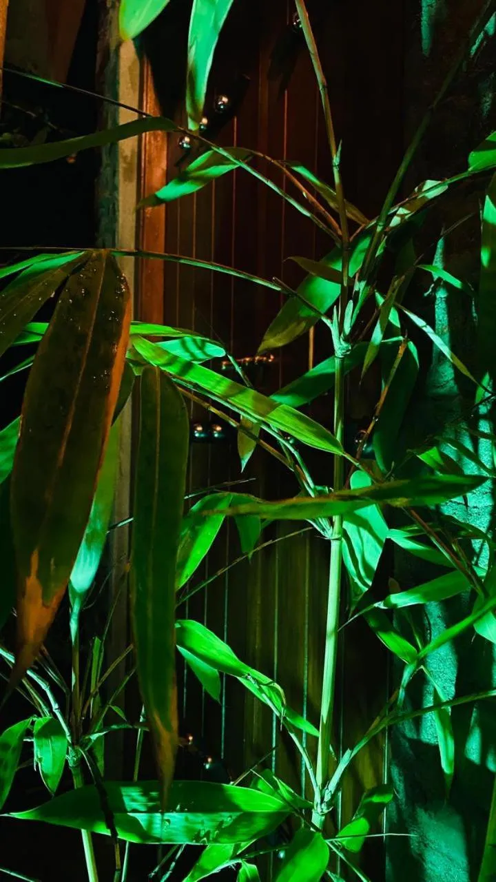 TEARAMB HOLIDAY BUNGALOW