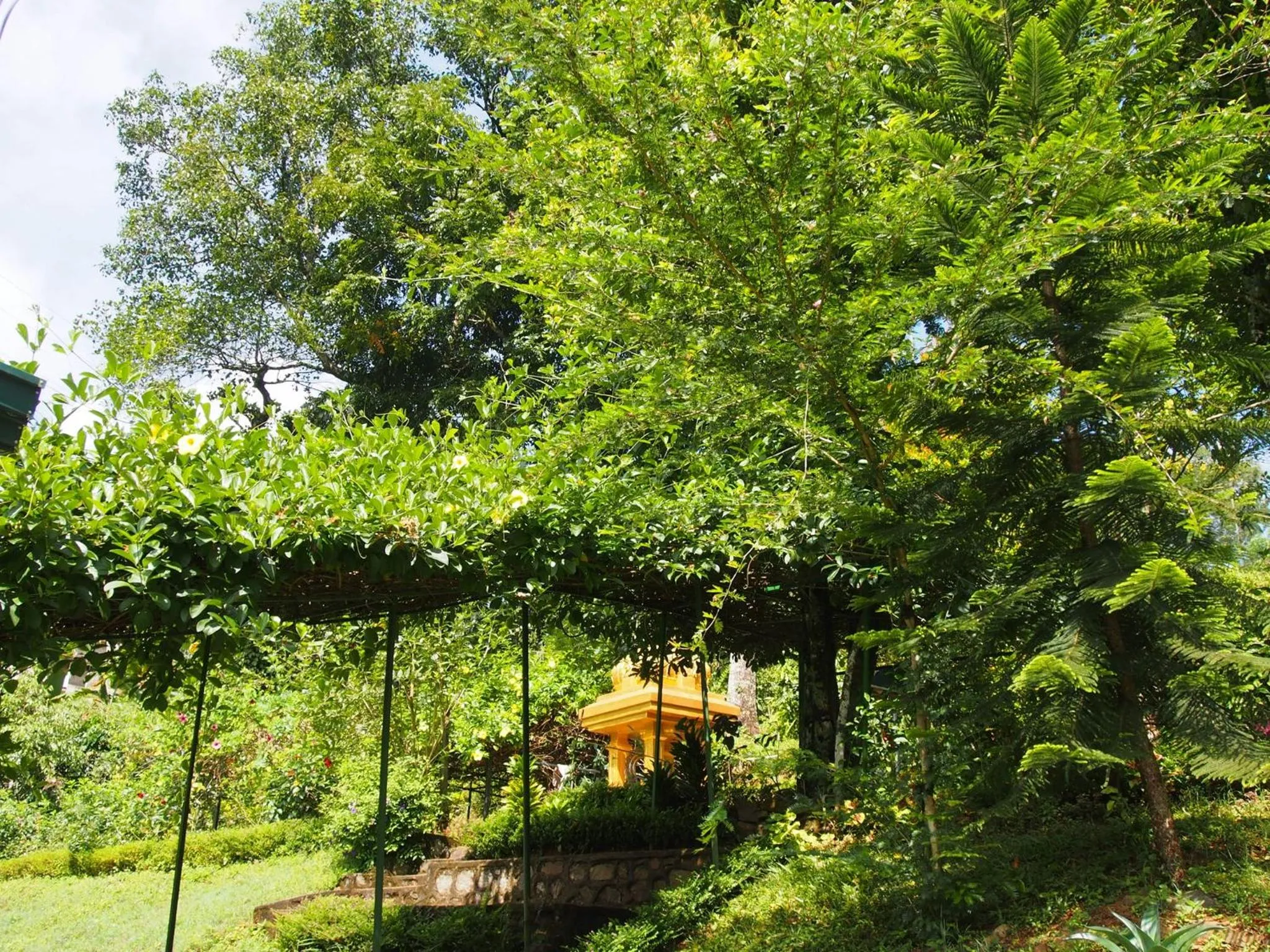 Garden in TEARAMB HOLIDAY BUNGALOW