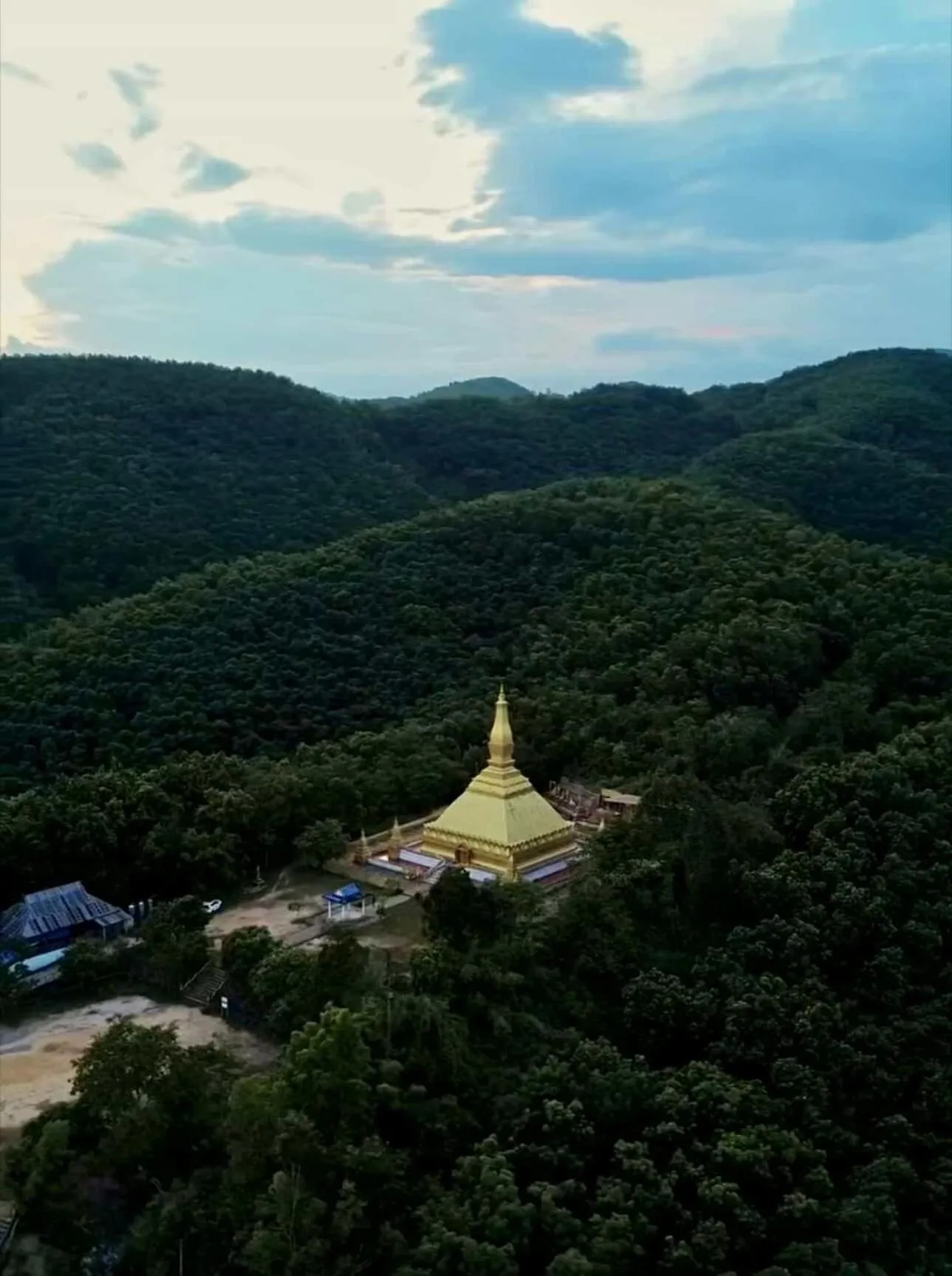 Other in Tulip Hotel