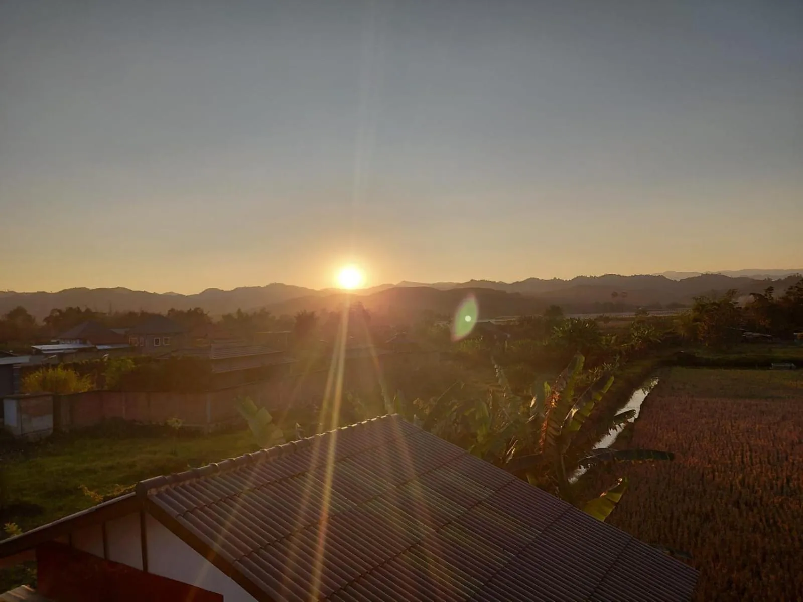 View (from property/room) in Tulip Hotel