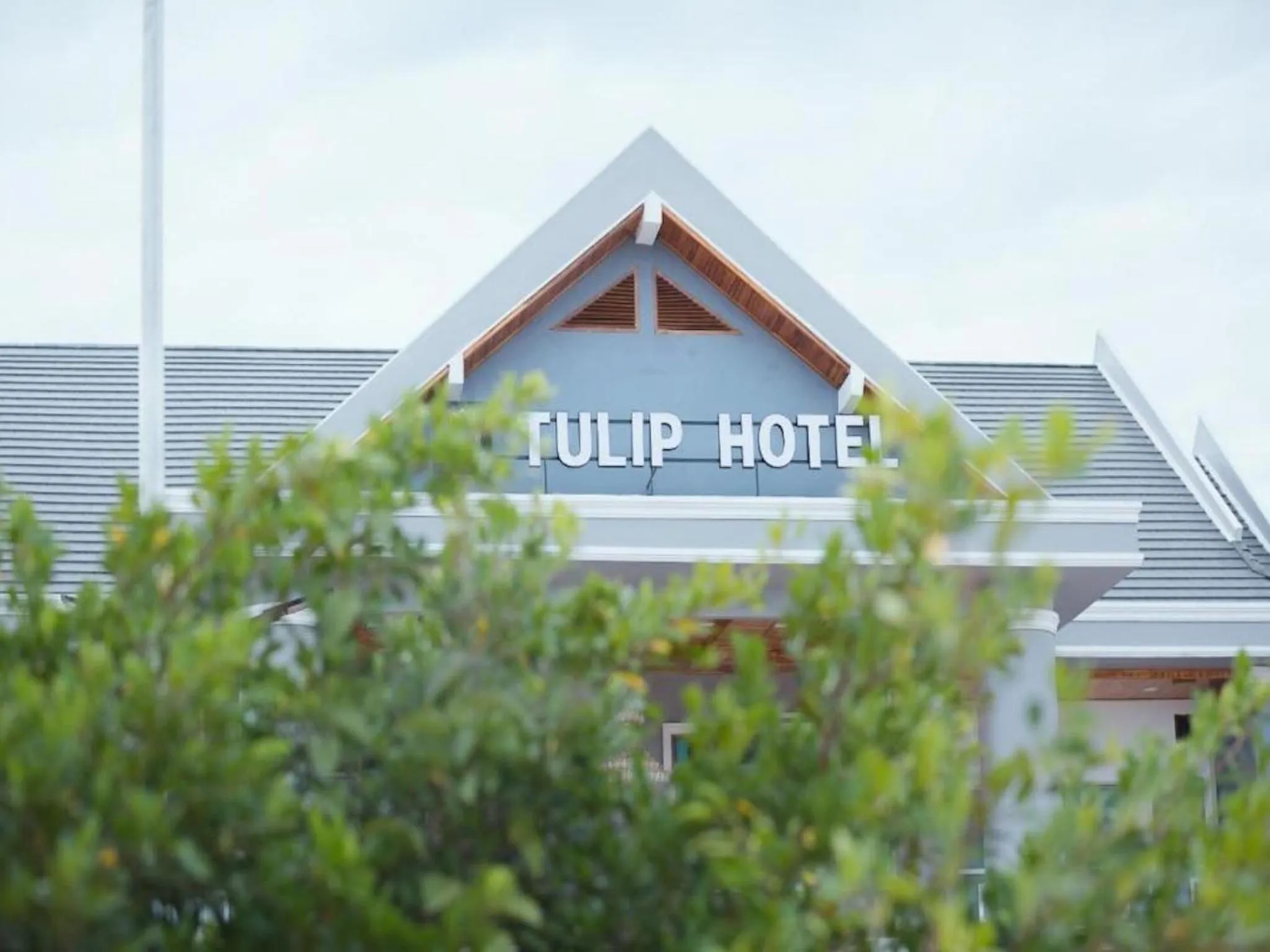 Property building in Tulip Hotel