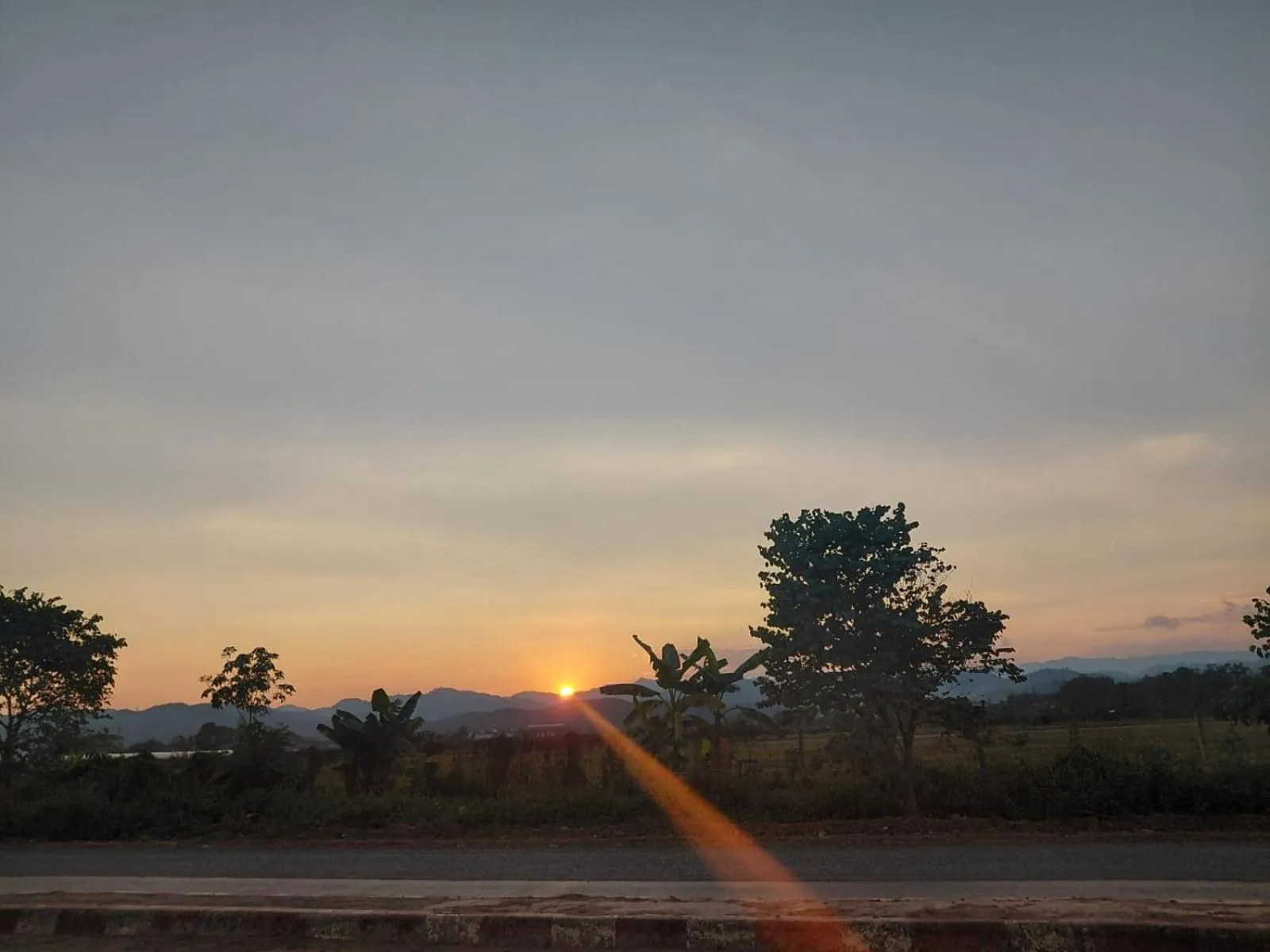 Sea view in Tulip Hotel