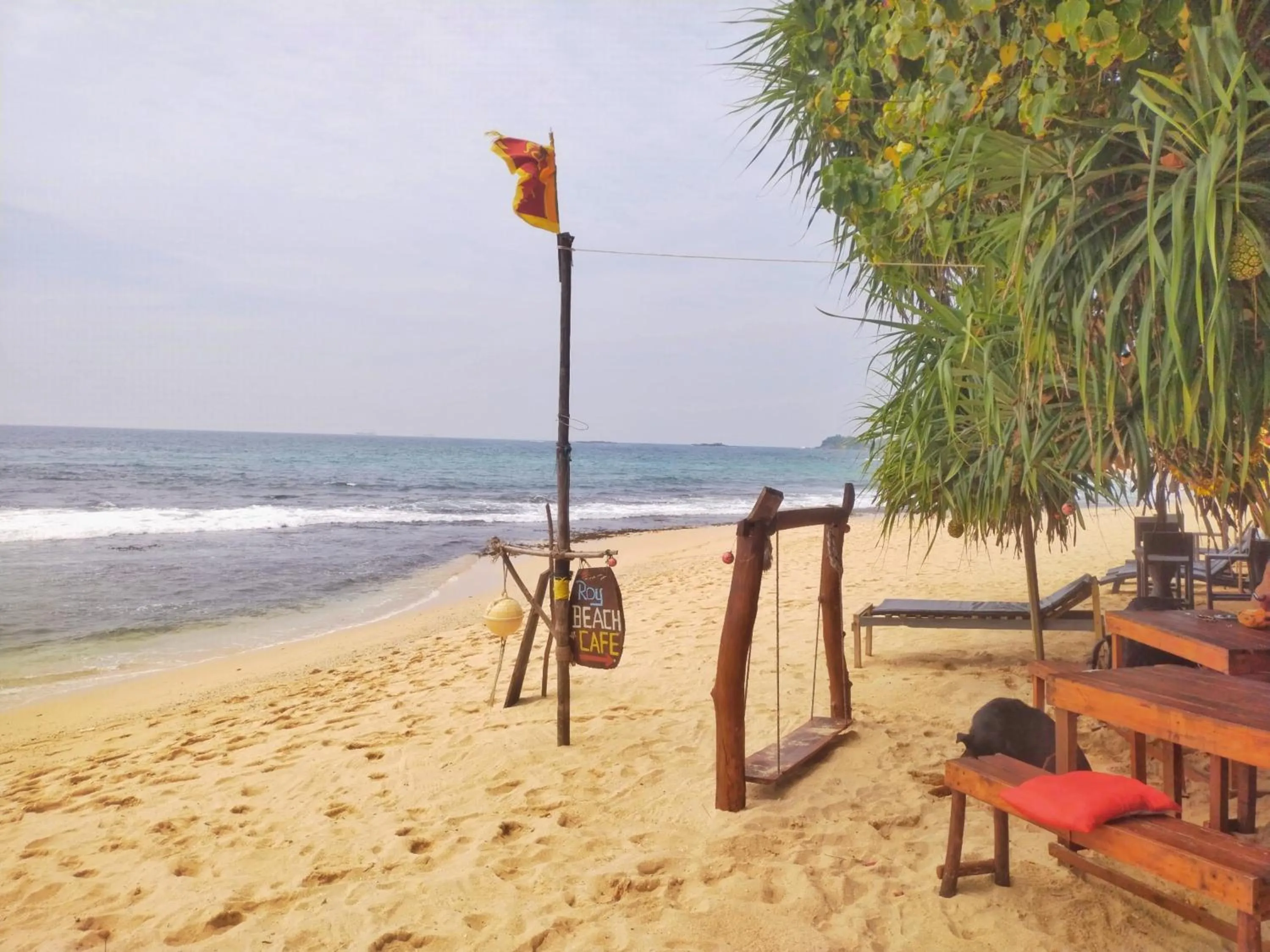 Day in DALAWELLA BEACH RESORT