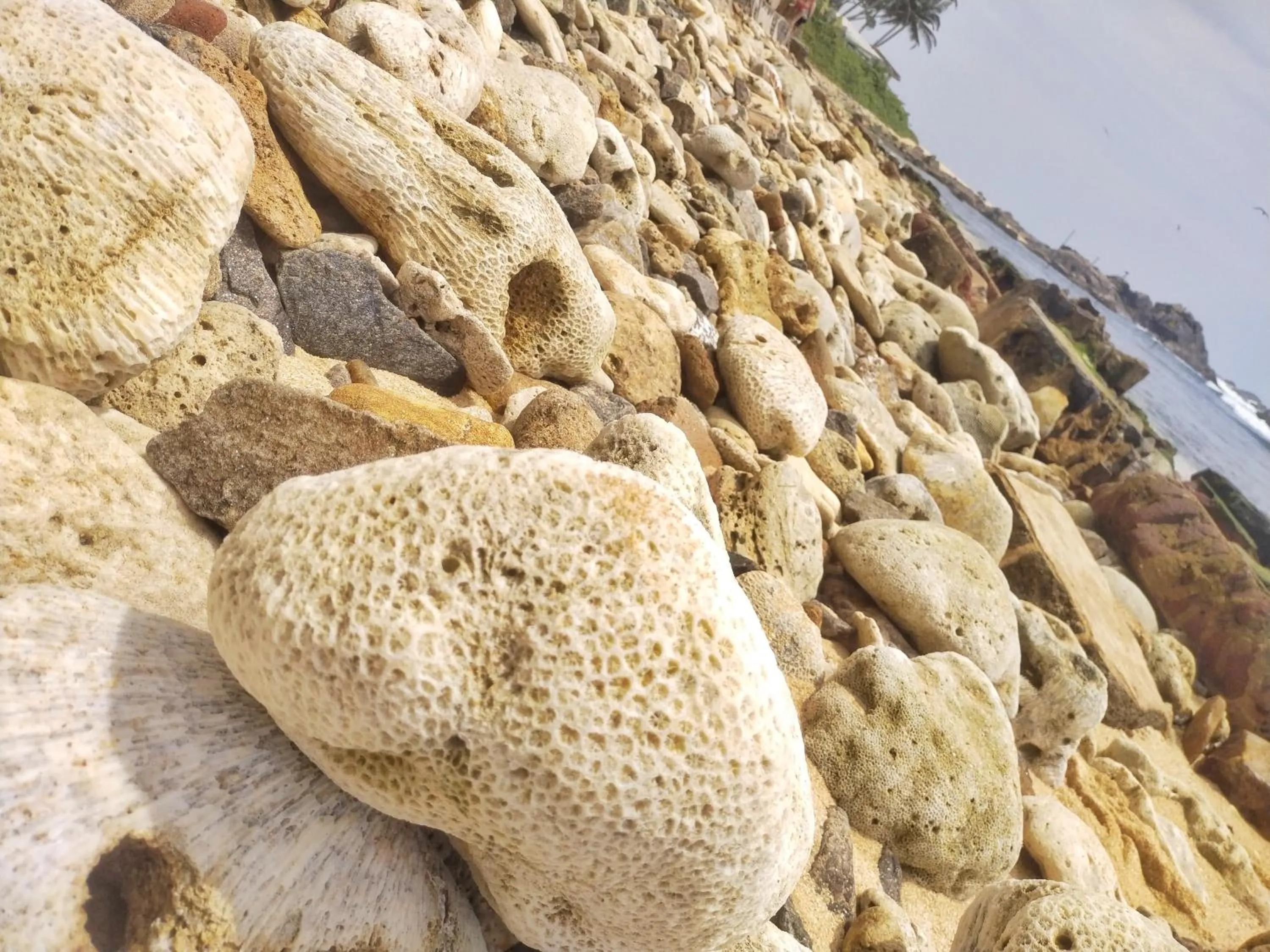 Sea view in DALAWELLA BEACH RESORT