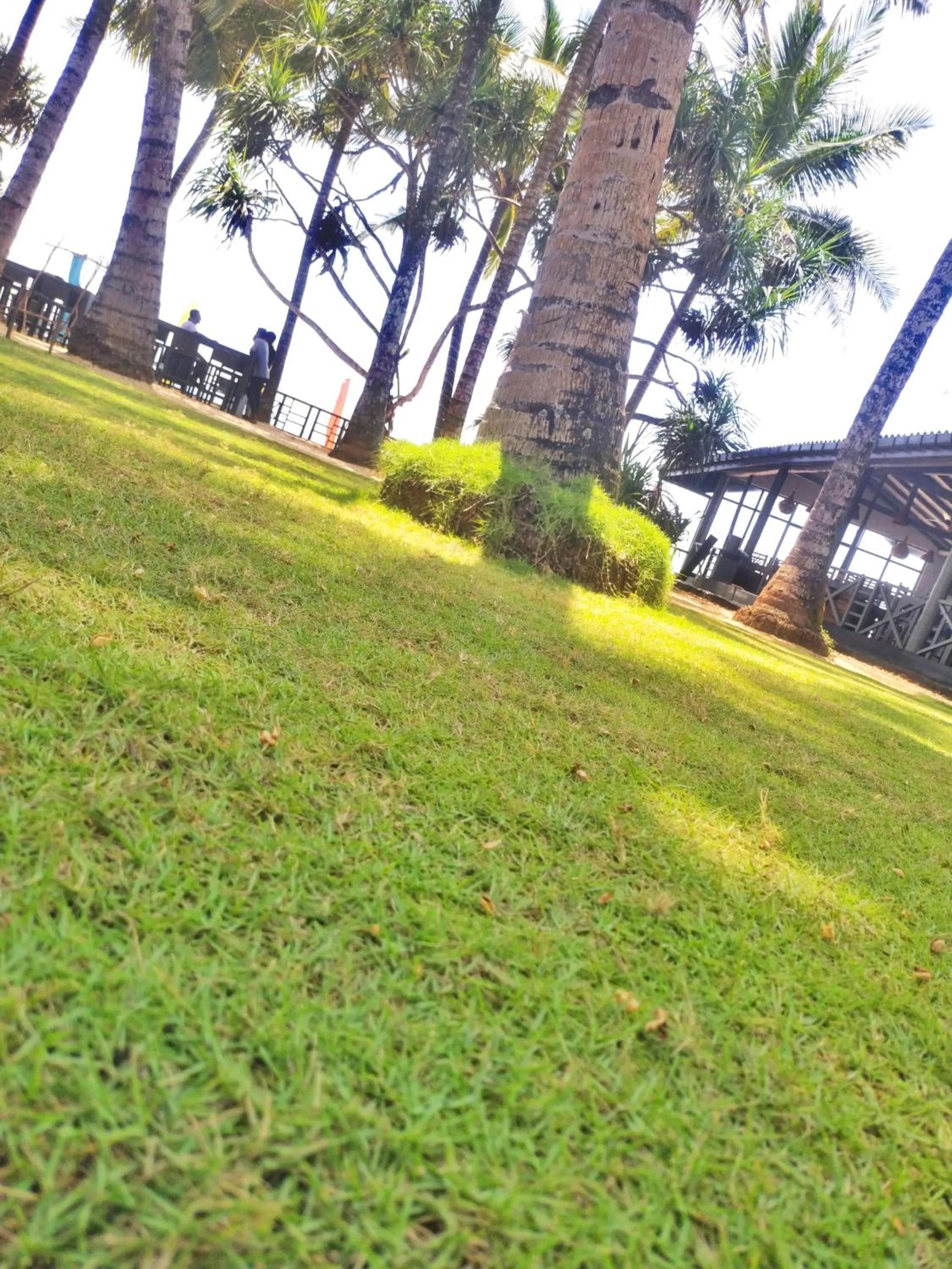 Natural landscape in DALAWELLA BEACH RESORT