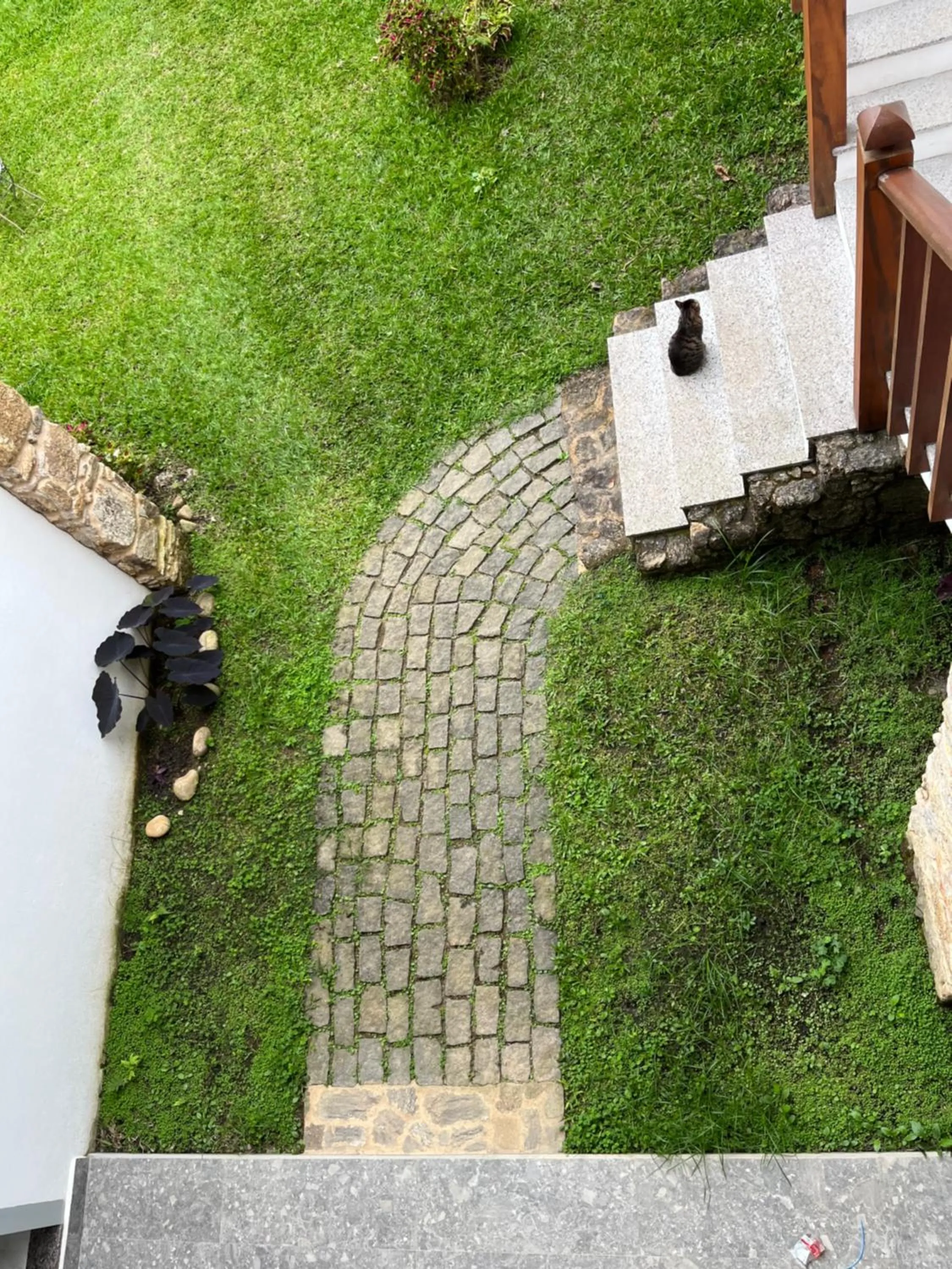 Property building in Casa Arte Cabore