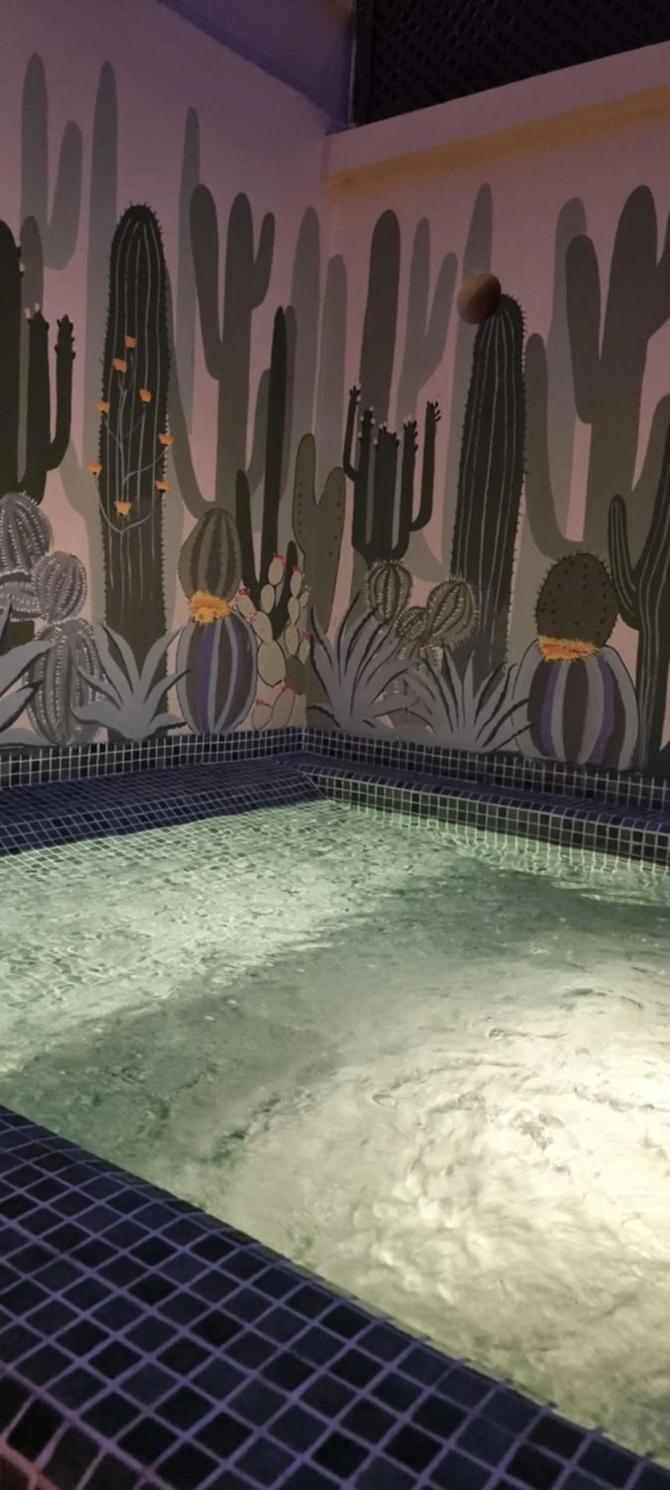 Solarium in Riad Al Badia