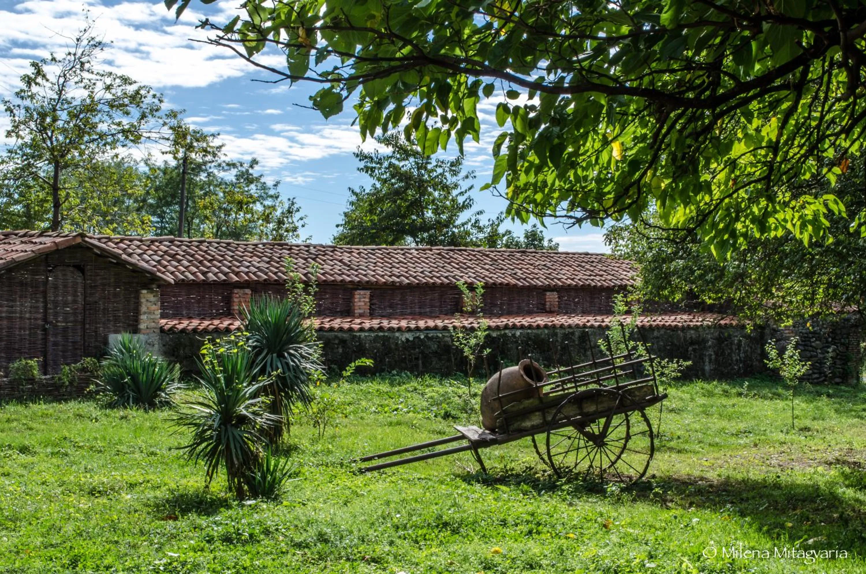 Garden view in Chateau Eniseli
