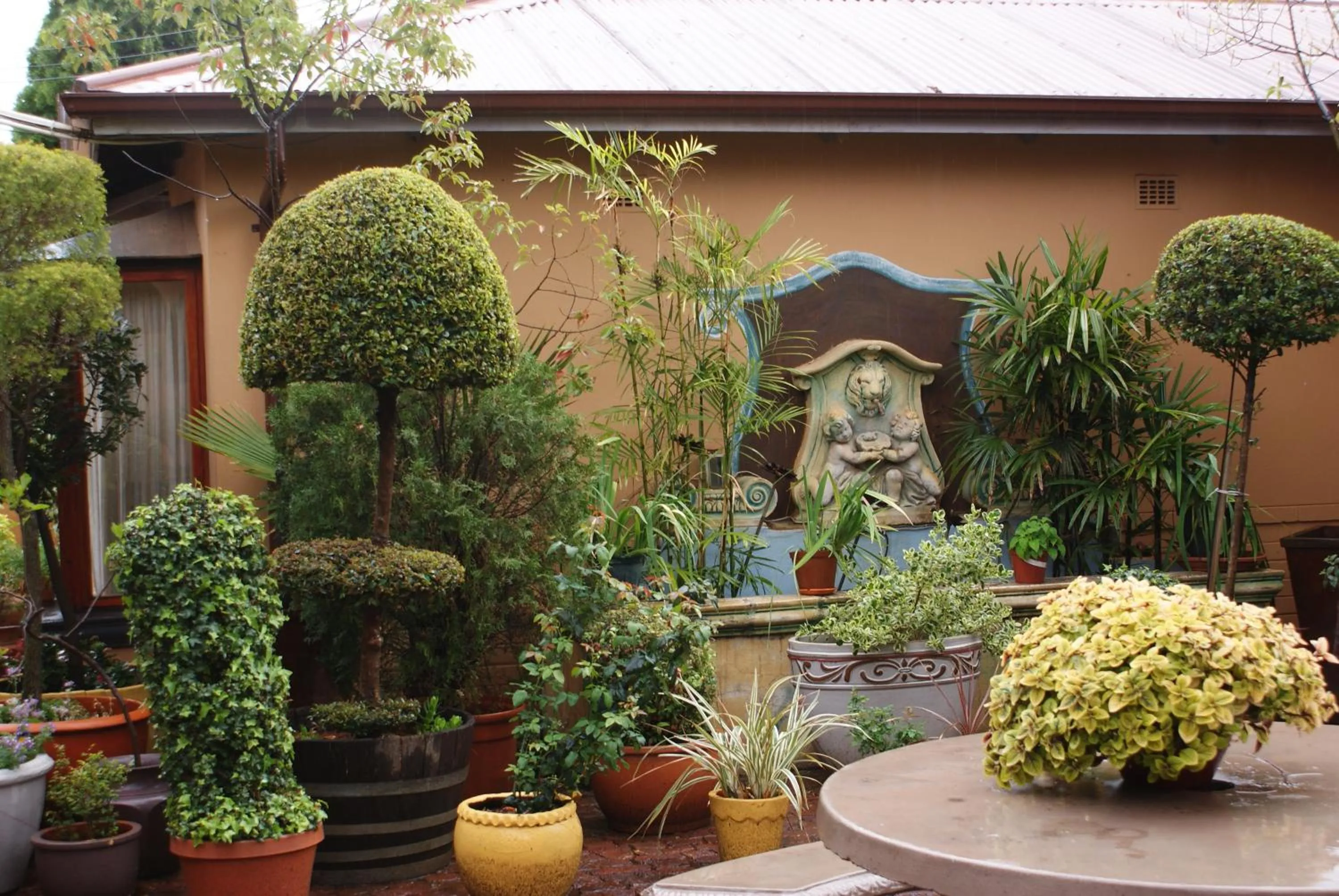 Garden in Hampton House Guest House