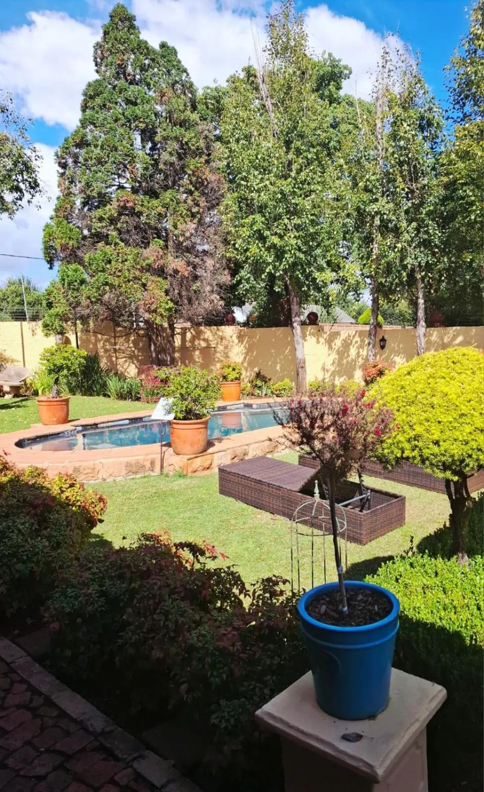 Garden in Hampton House Guest House