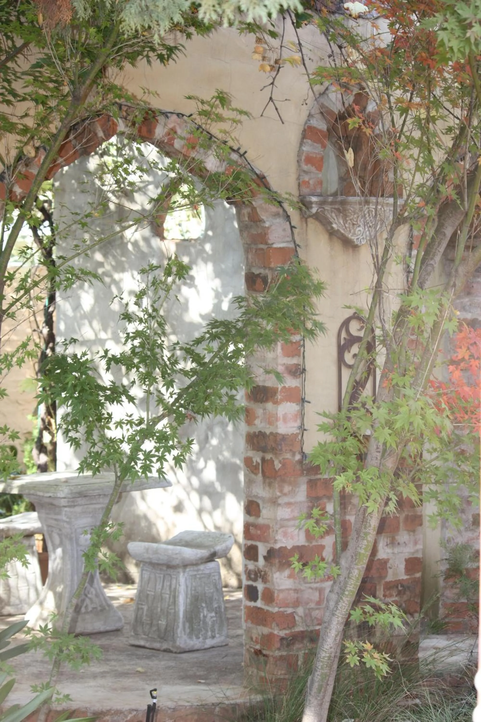 Garden in Hampton House Guest House