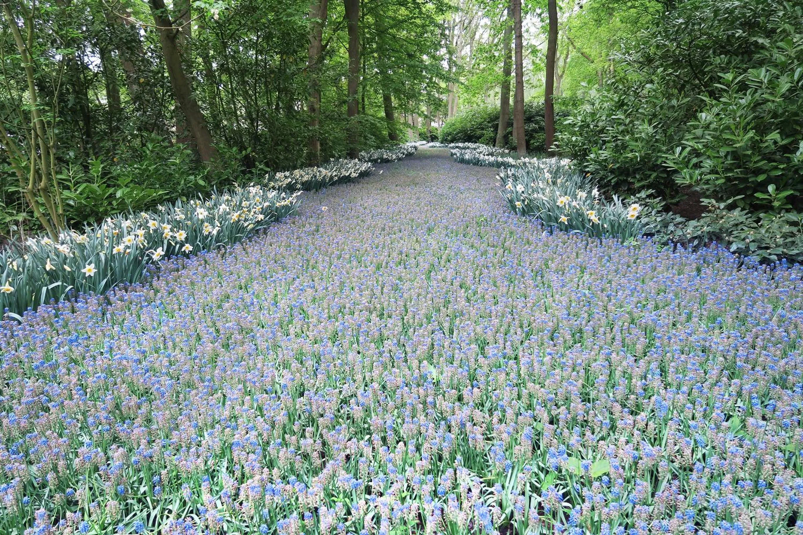 Nearby landmark in Hotel Carillon
