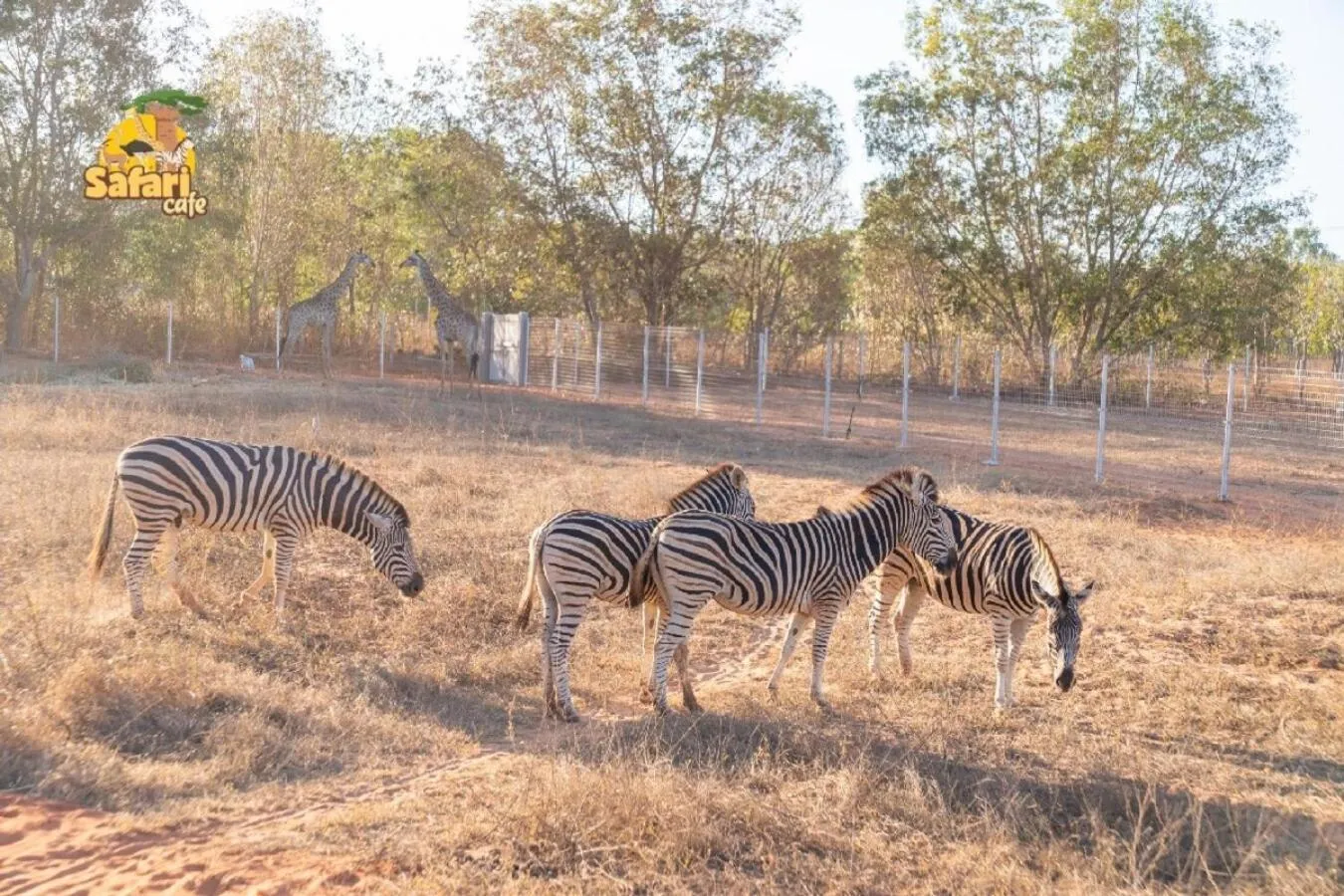 Animals in Wonderland Resort Phan Thiet
