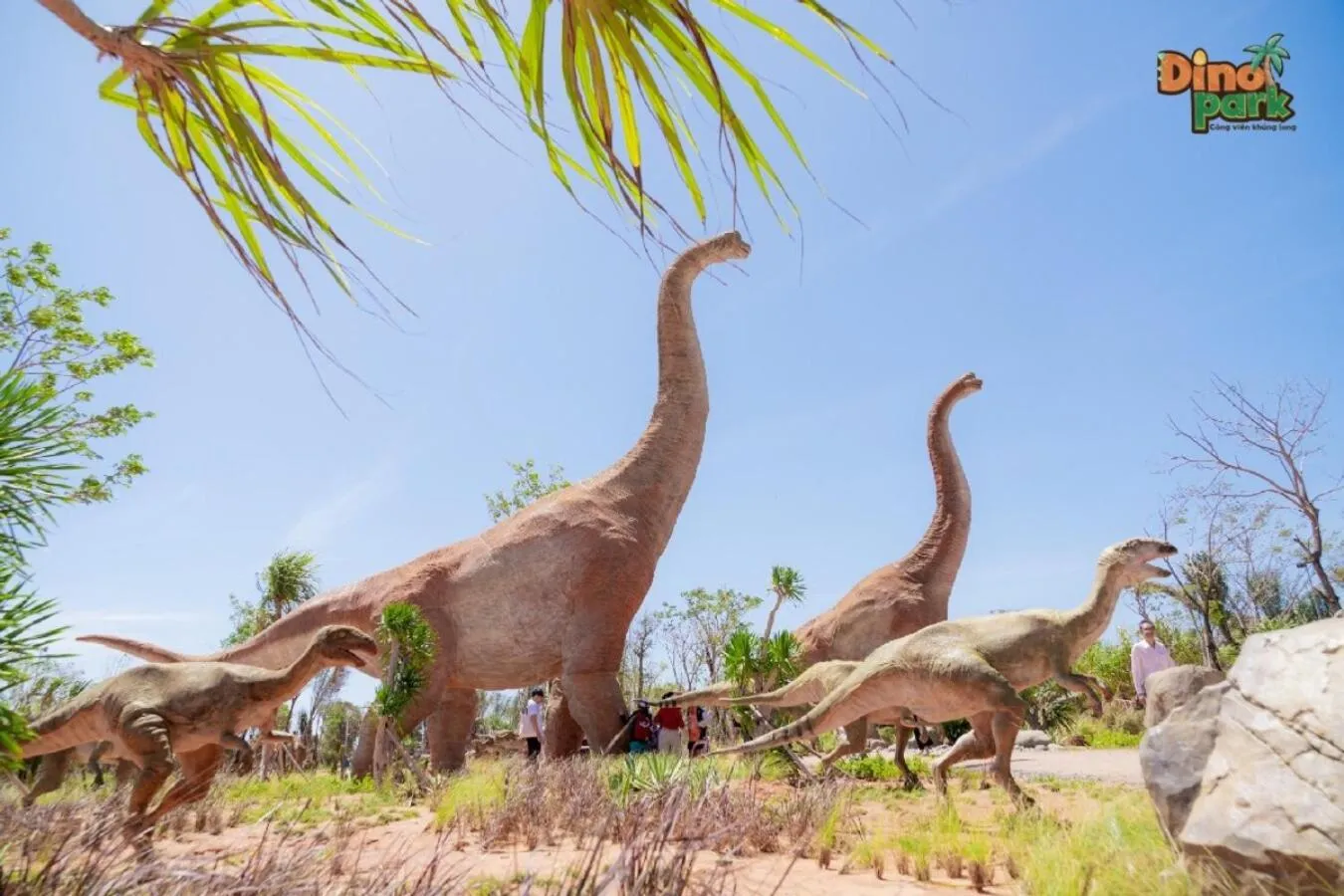 Nearby landmark in Wonderland Resort Phan Thiet