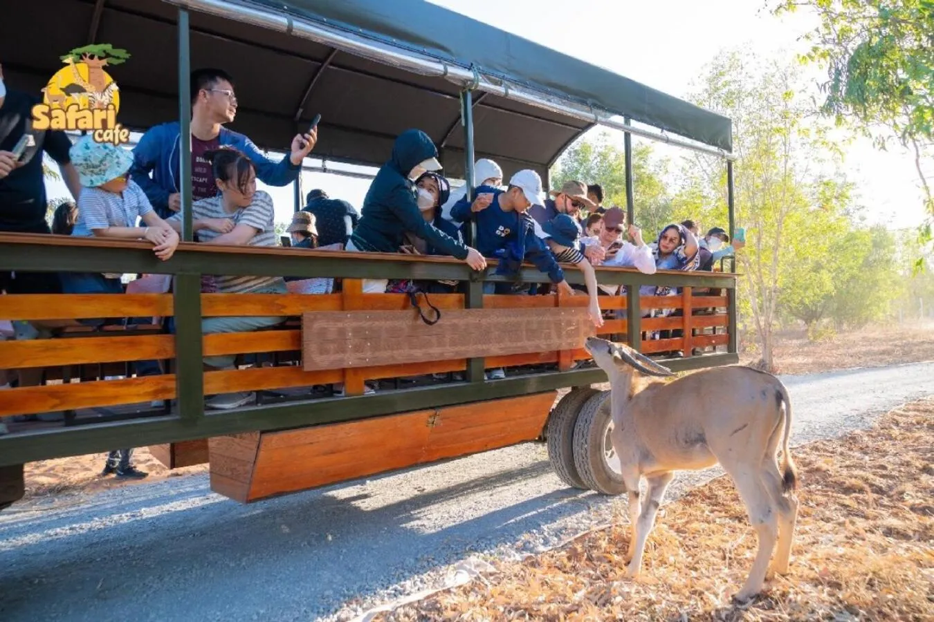 Animals in Wonderland Resort Phan Thiet