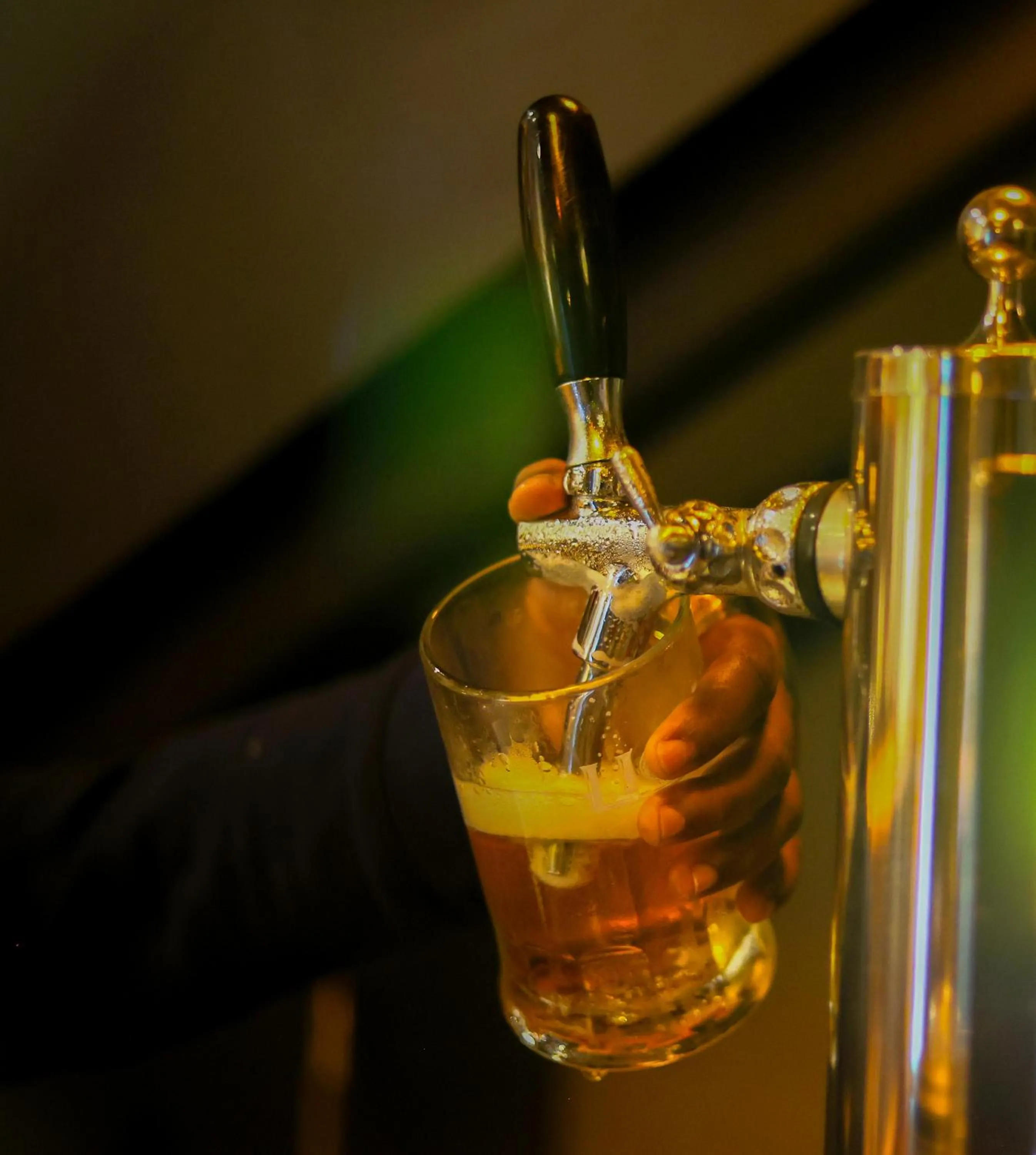 Lounge or bar in Hotel Bulwark