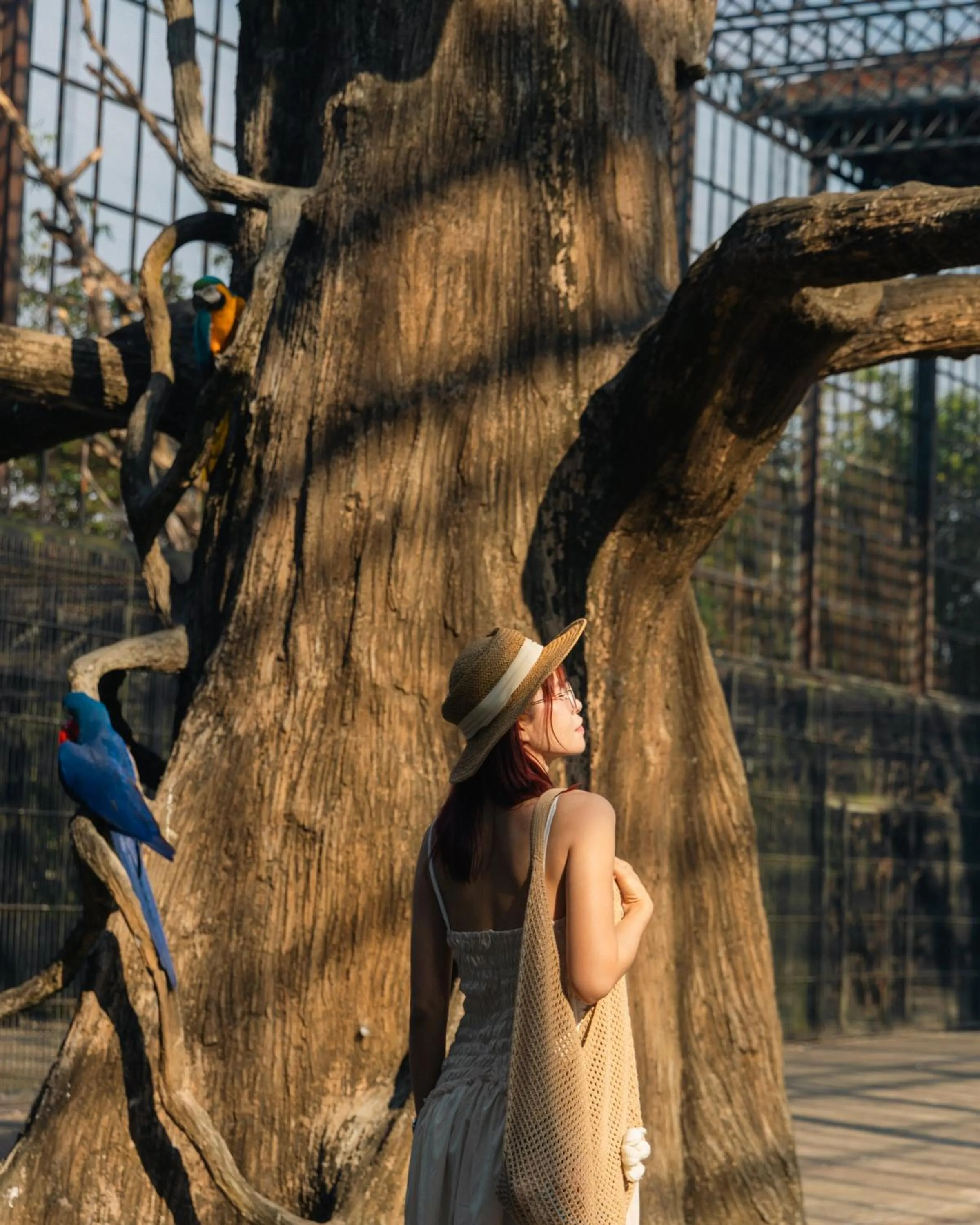 Activities in Wonderland Suites and Resort