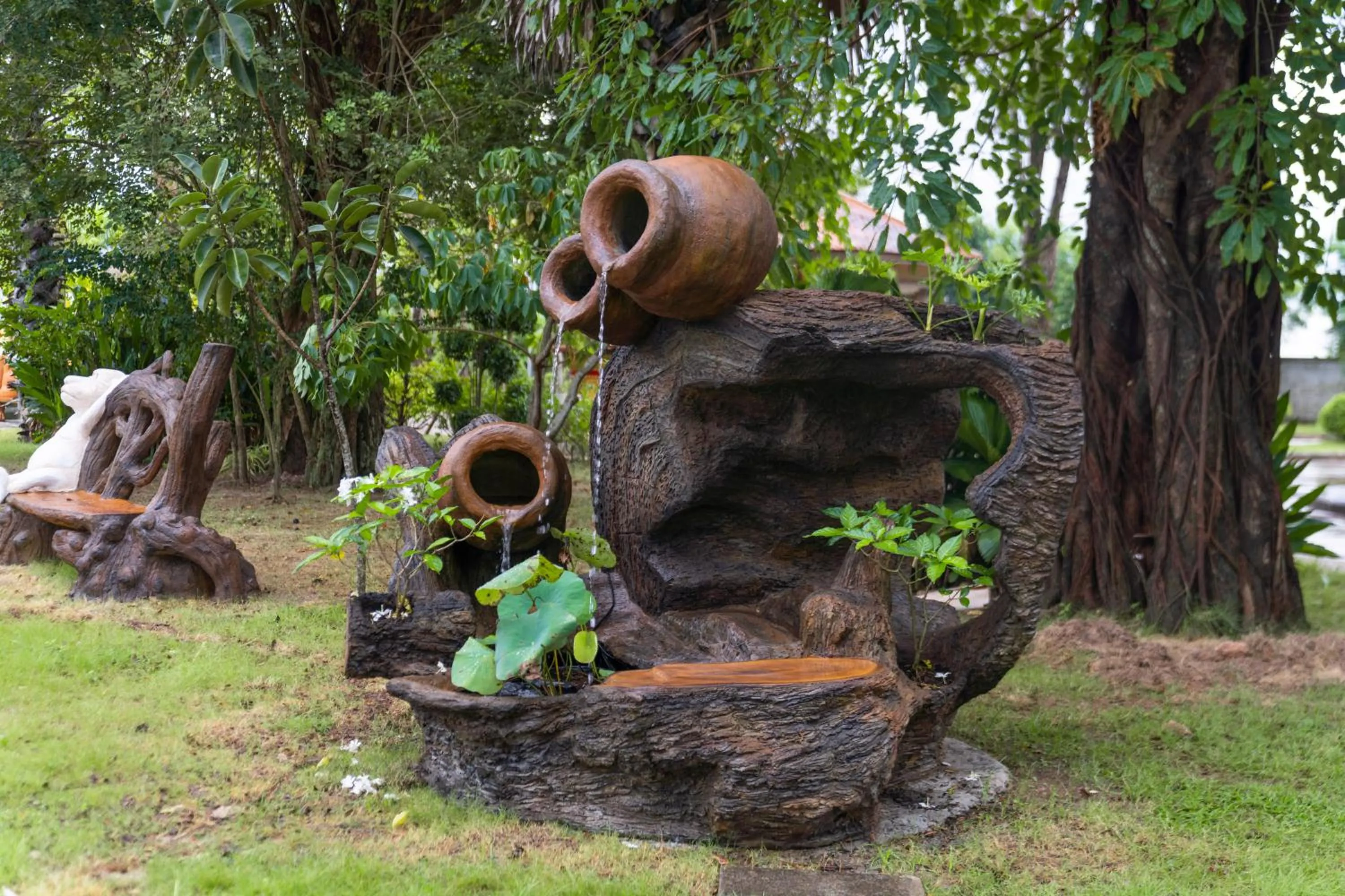 Area and facilities in Wonderland Suites and Resort