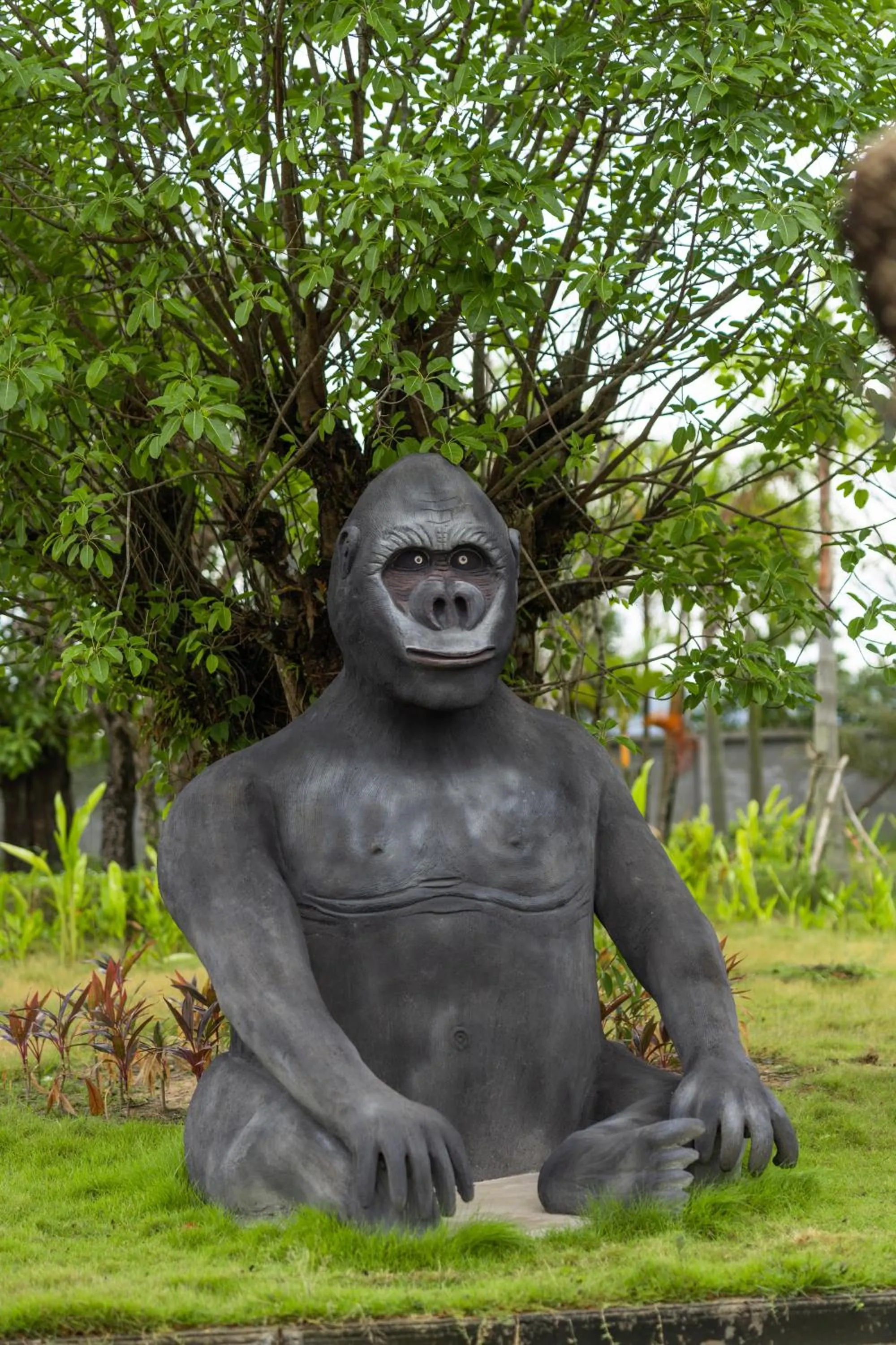 Area and facilities in Wonderland Suites and Resort