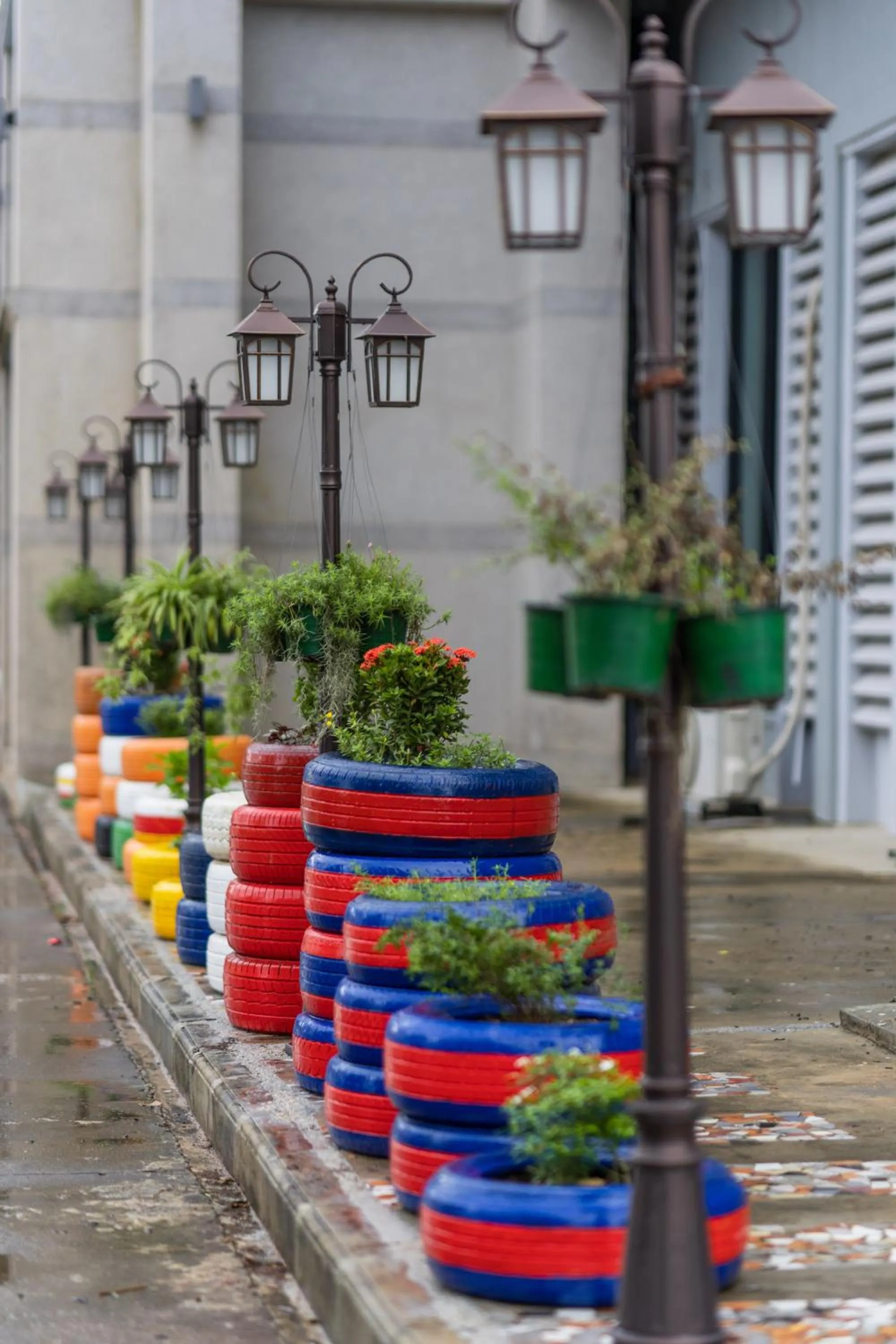 Garden view in Wonderland Suites and Resort