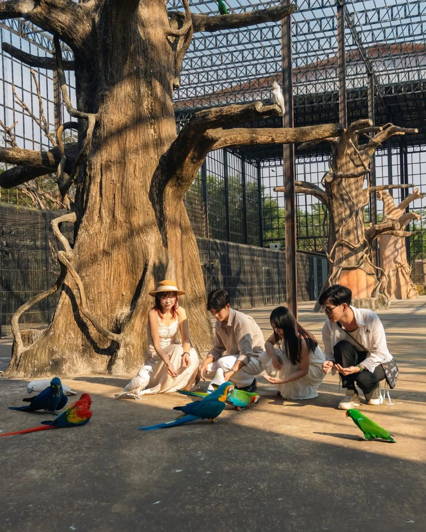 pet friendly in Wonderland Suites and Resort