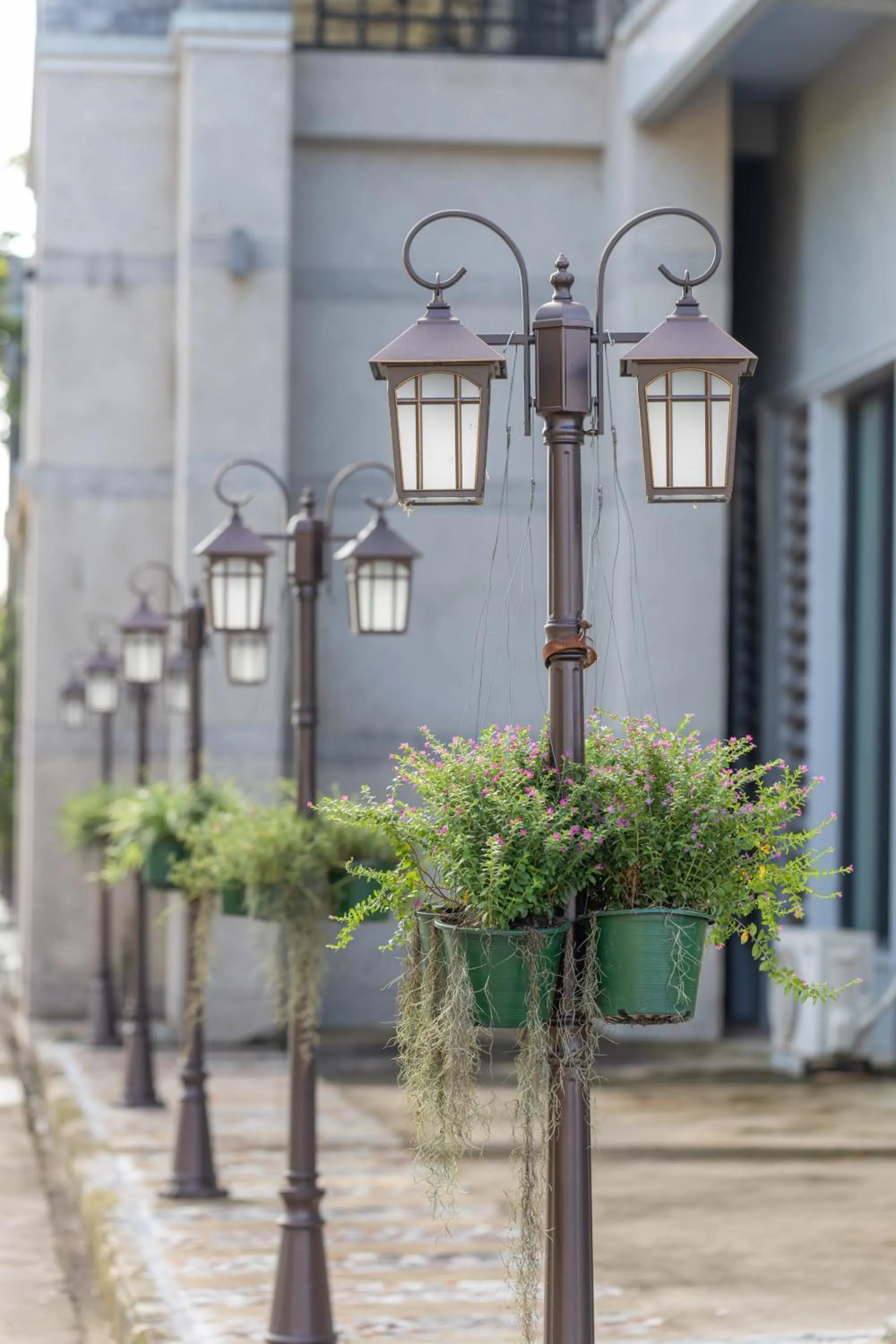 Garden view in Wonderland Suites and Resort