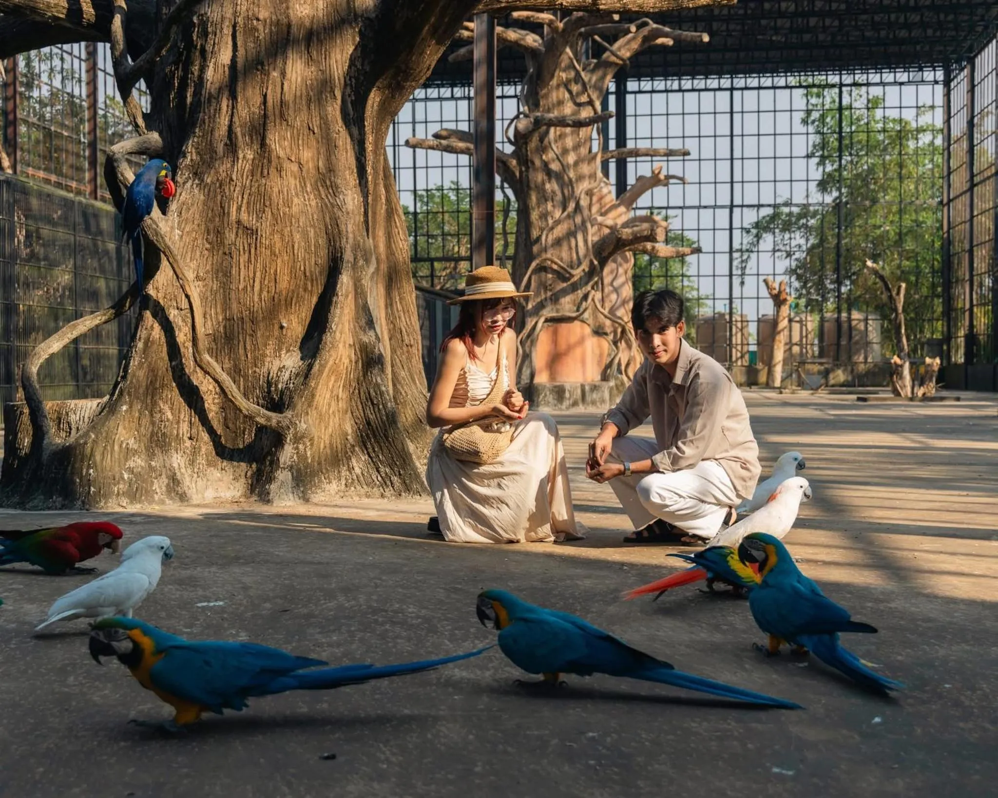 pet friendly in Wonderland Suites and Resort