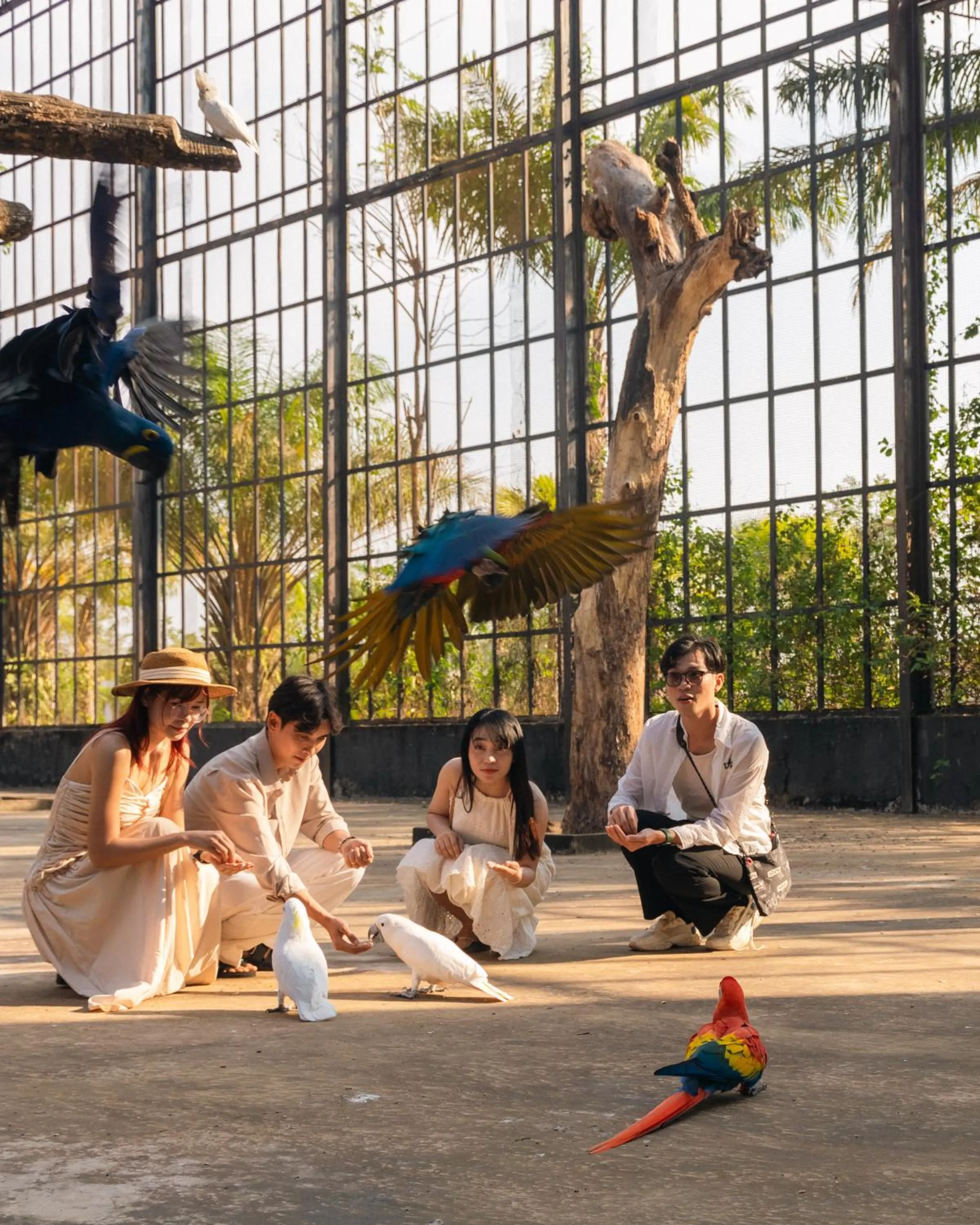 Activities in Wonderland Suites and Resort