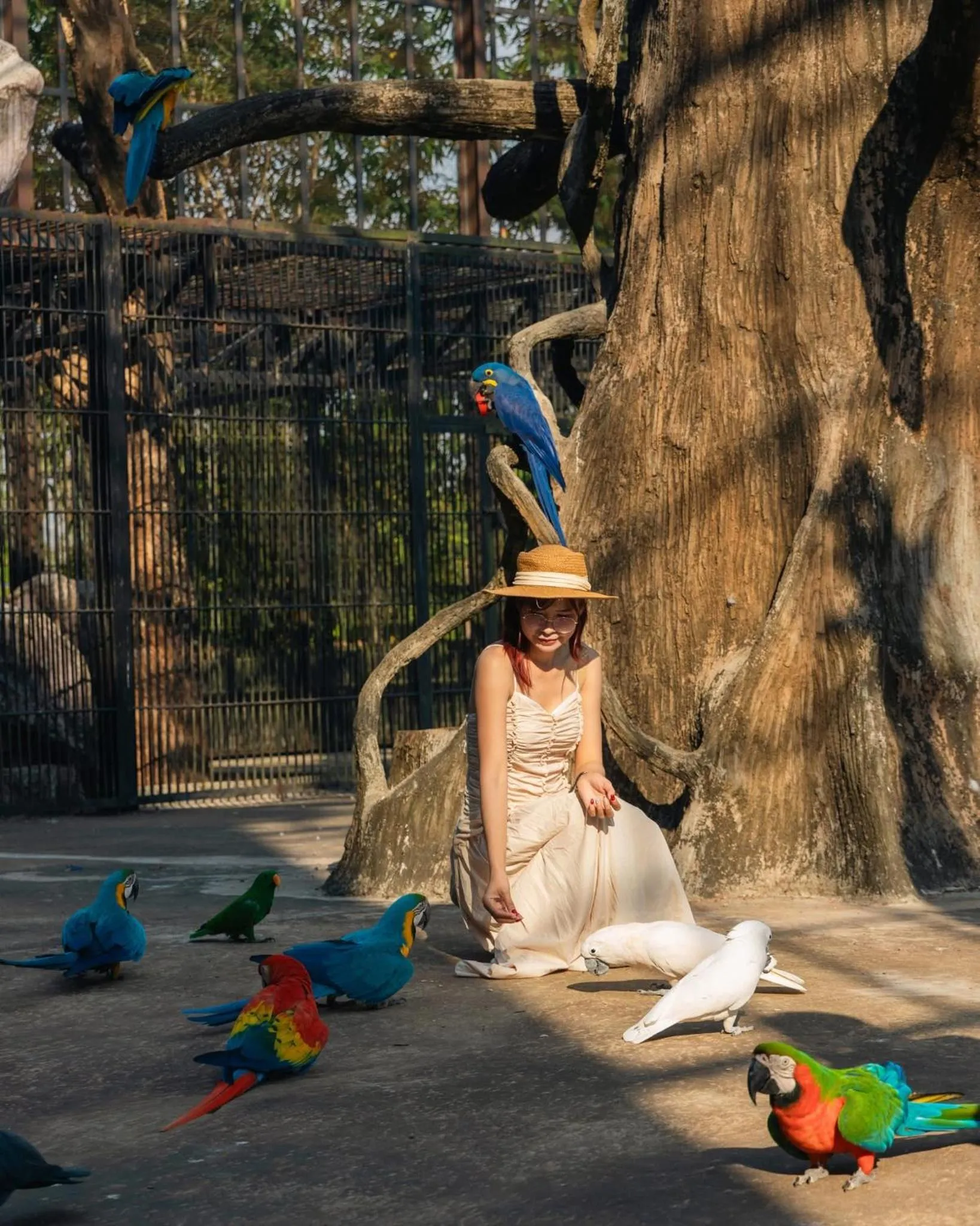 pet friendly in Wonderland Suites and Resort