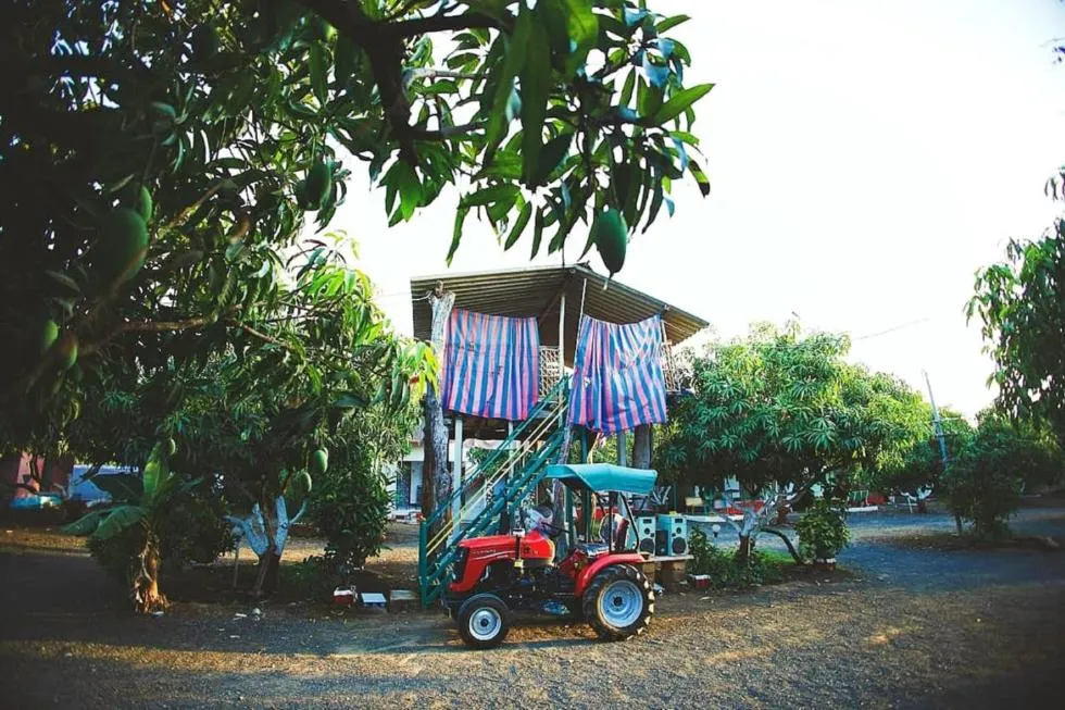 Bird's eye view in Gokul farm house