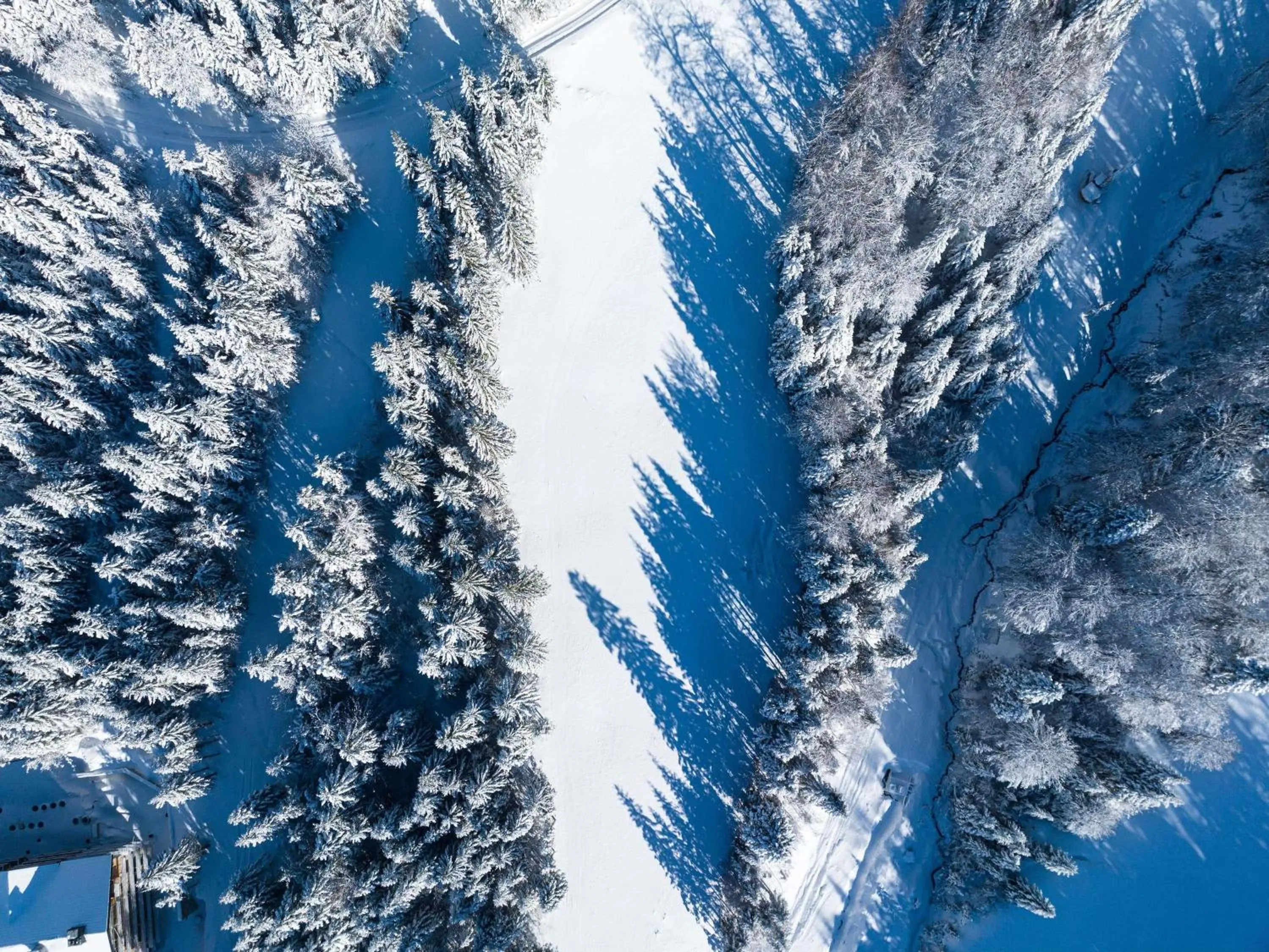 Other in Swissôtel Resort Kolasin