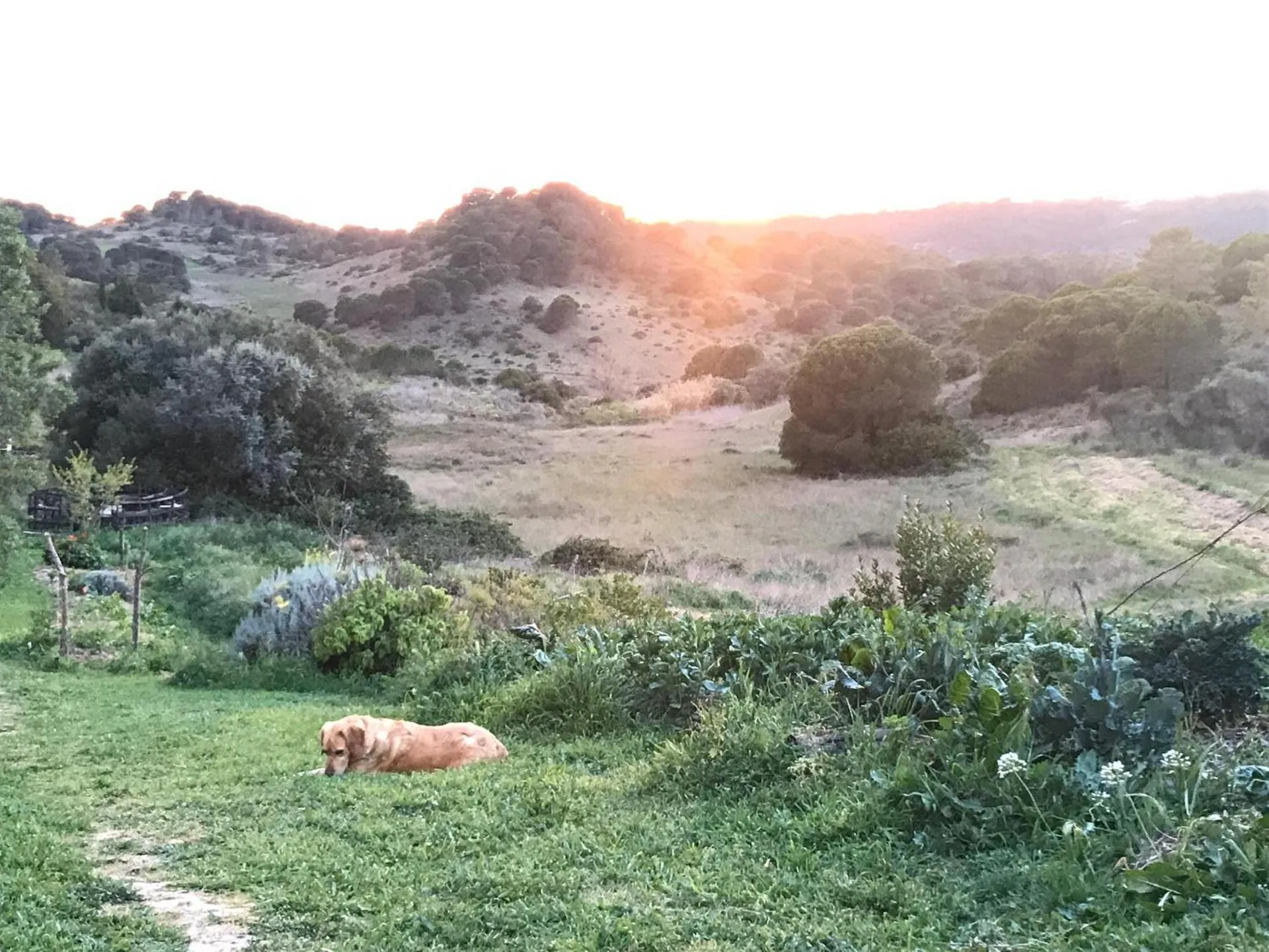 Spring in Biovilla Sustentabilidade
