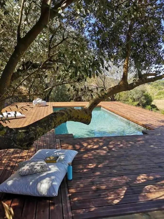 Spring in Biovilla Sustentabilidade