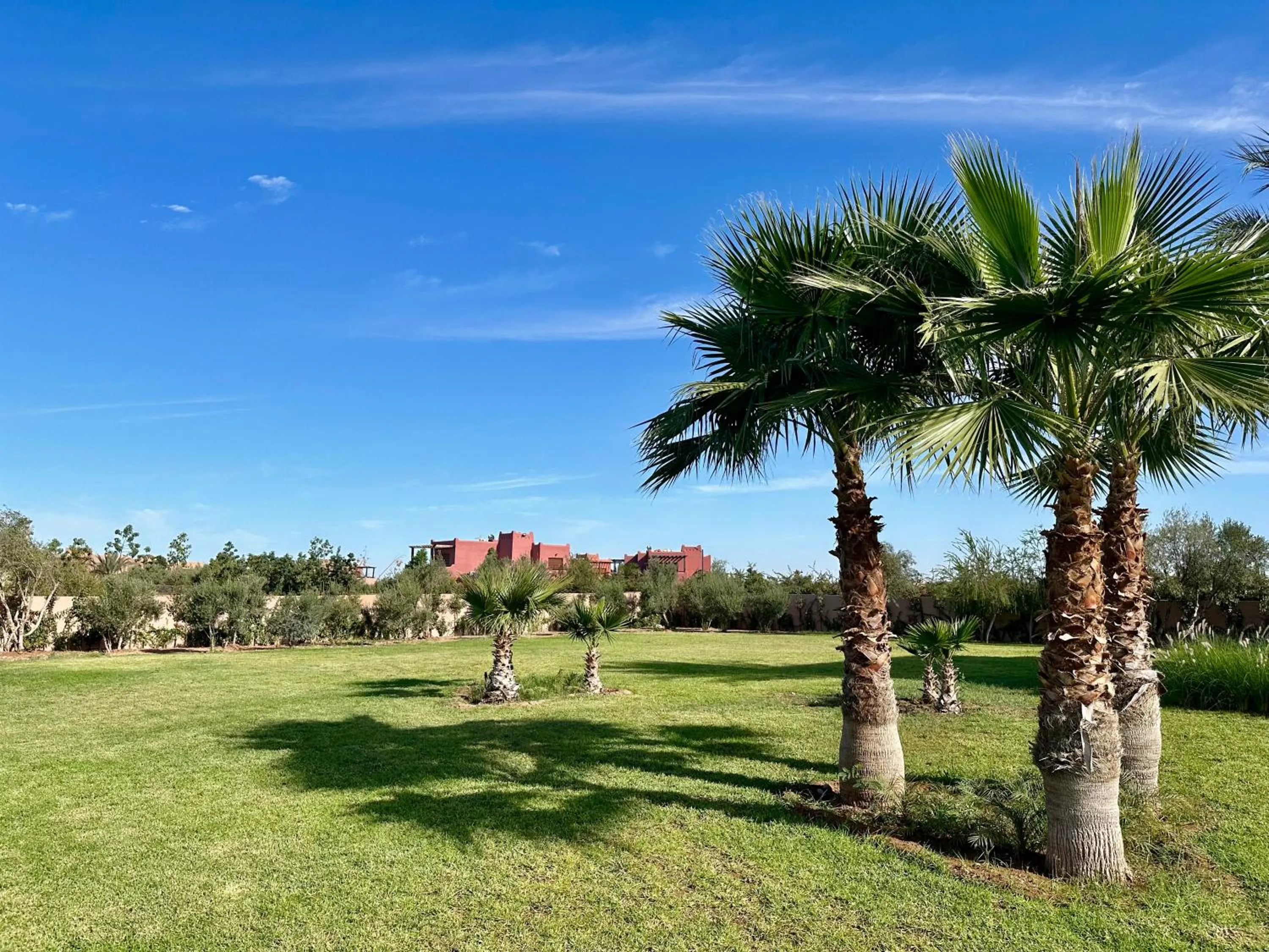 Garden view in Konouz Palace