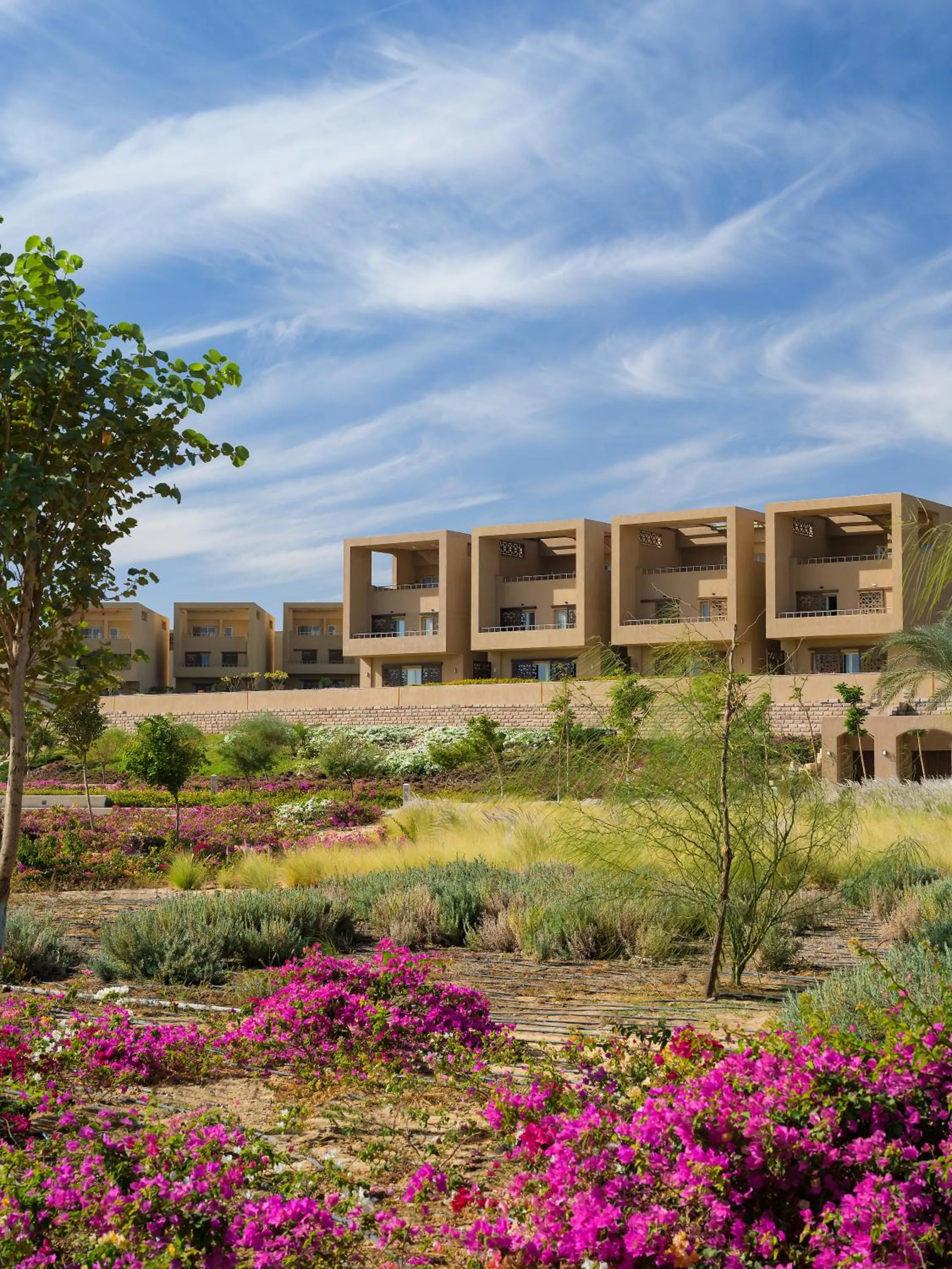 Inner courtyard view in The Zen Wellness Resort