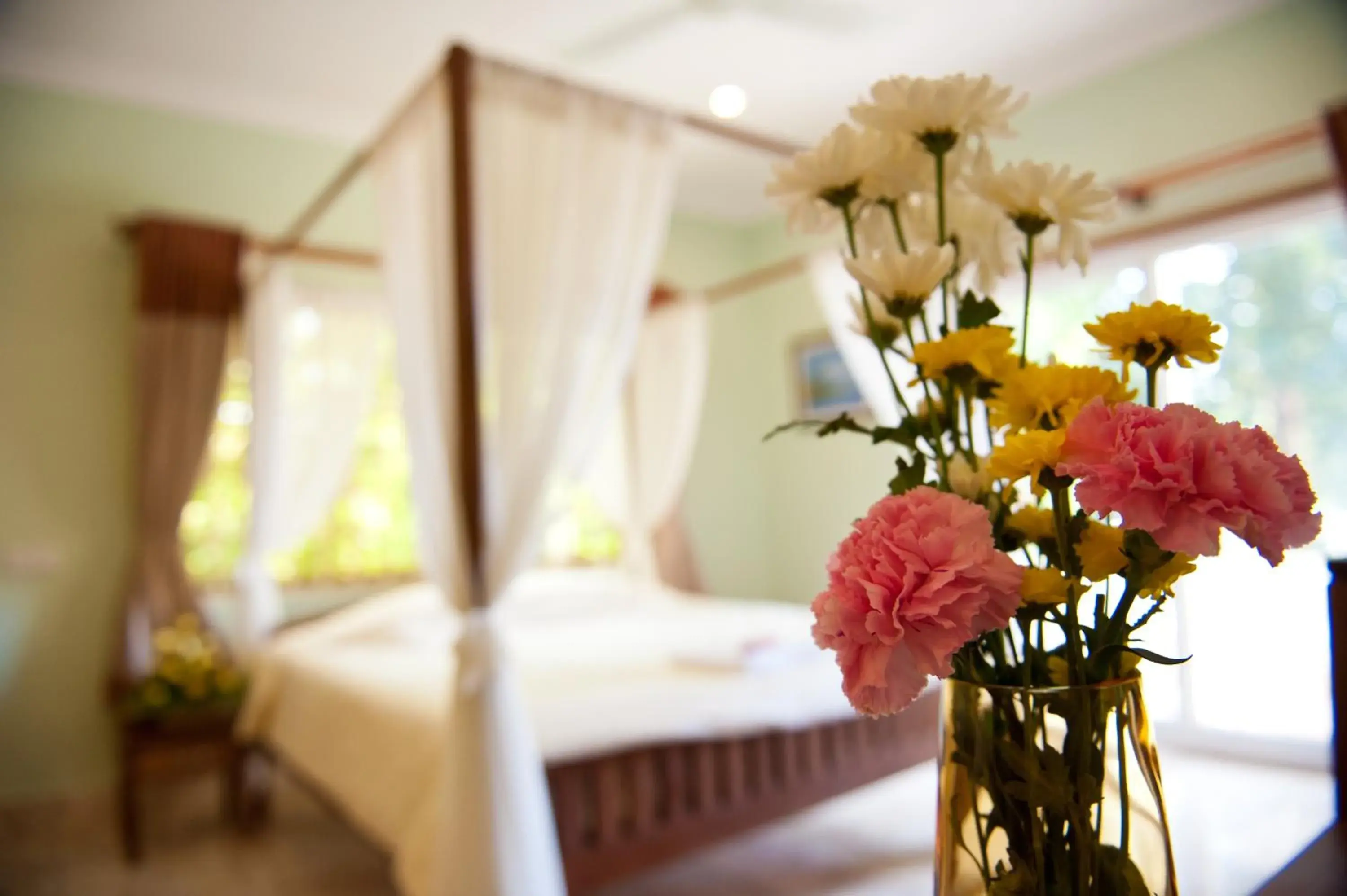 superior king with kitchenette in Villa Grange superior king with kitchenette in Villa Grange