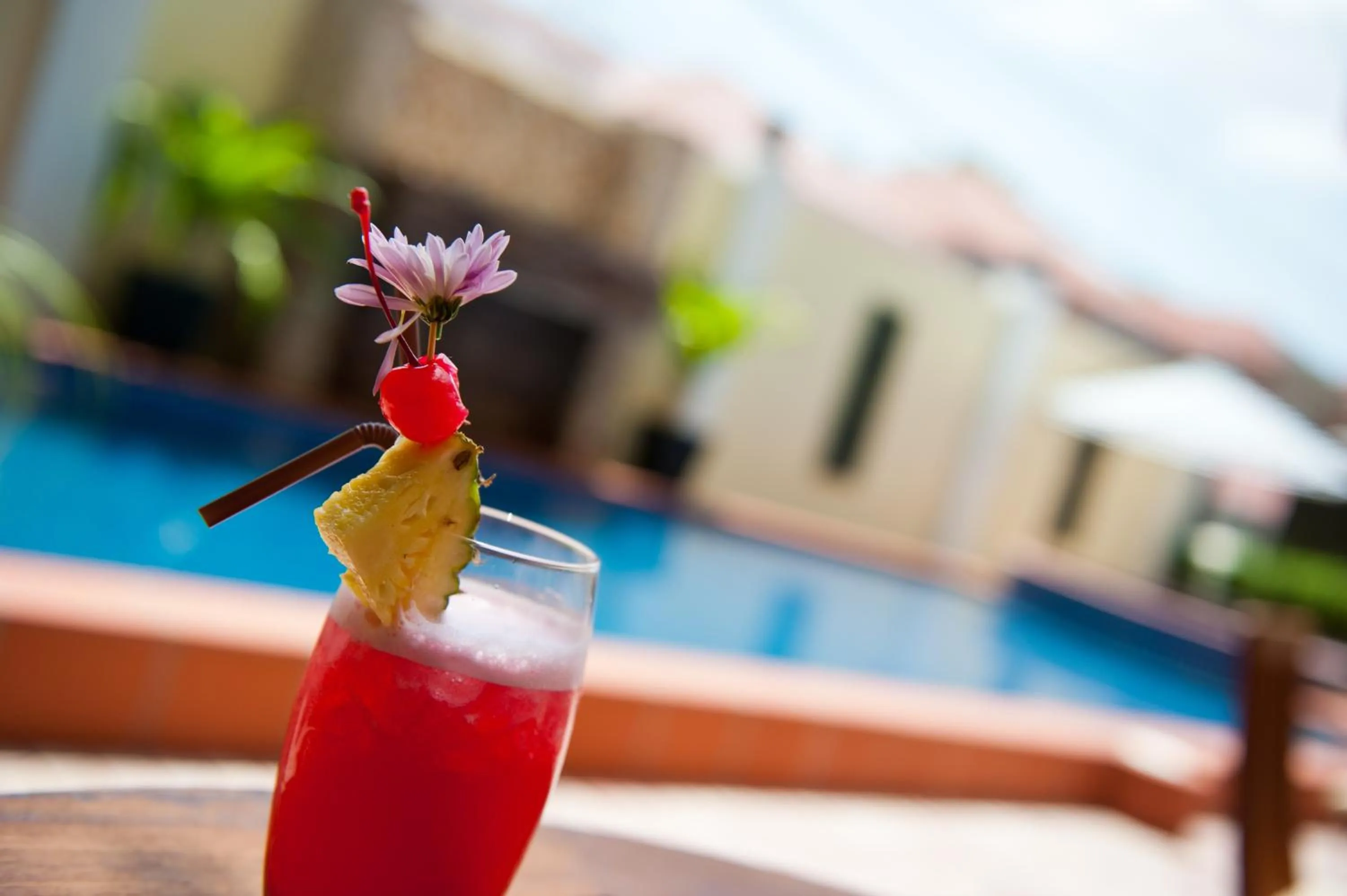 Swimming pool in Villa Grange