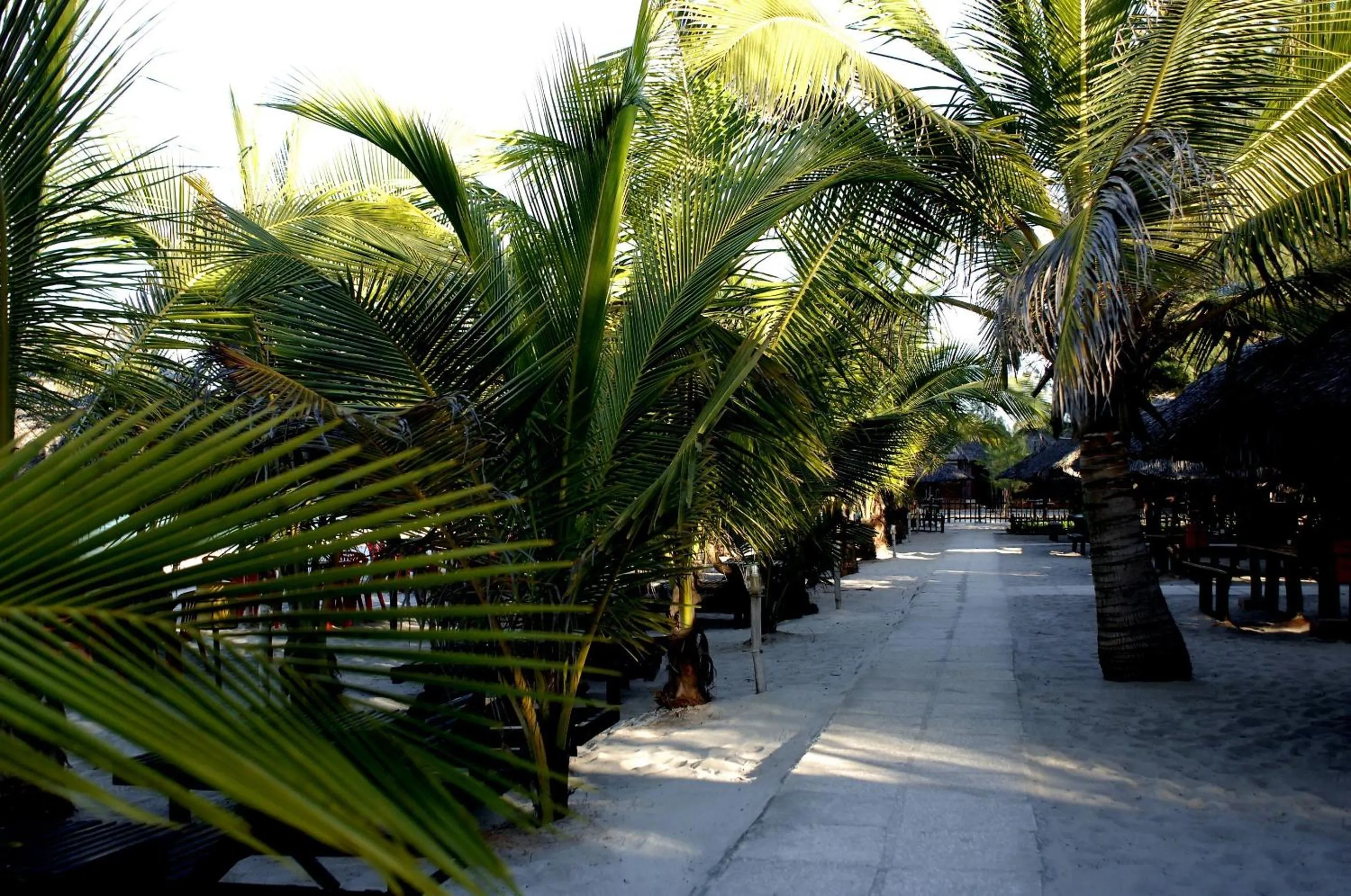 Garden in Sunrise Beach Resort