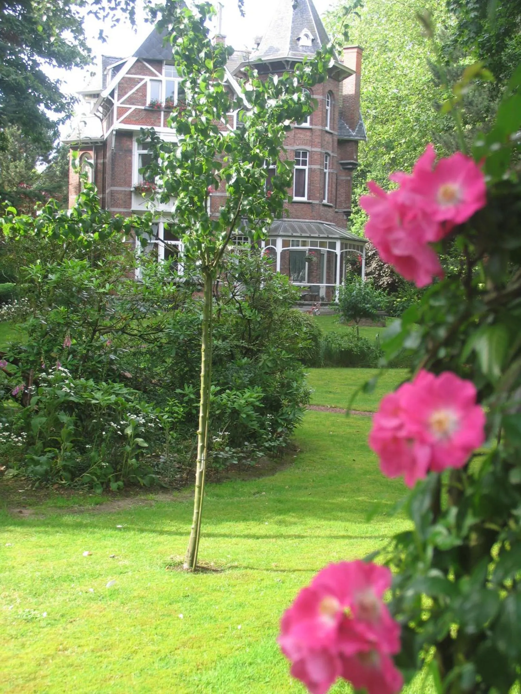 Day in B&B Villa Emma