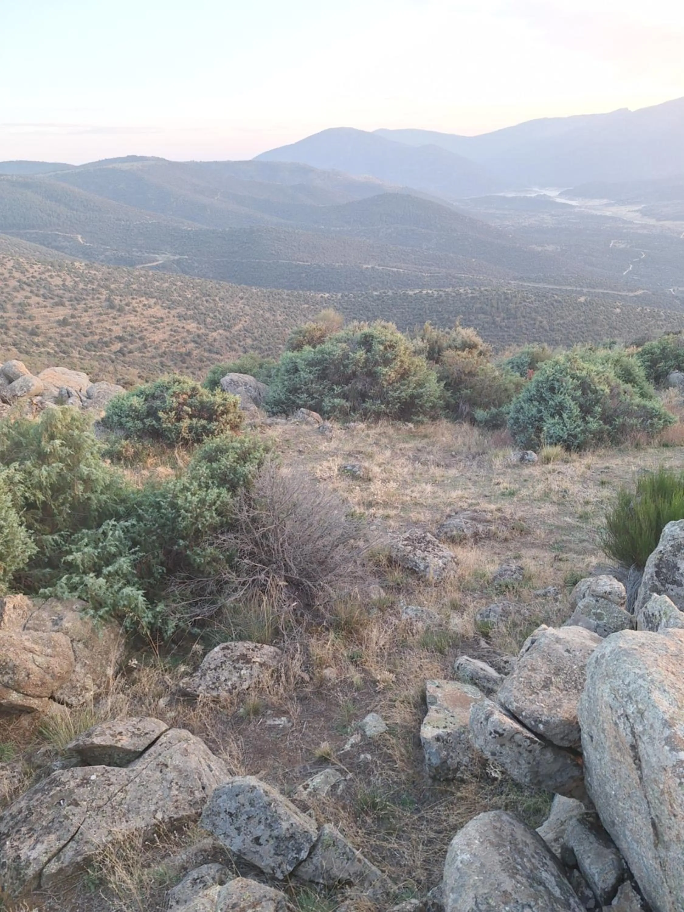 Hostal el patio restaurante